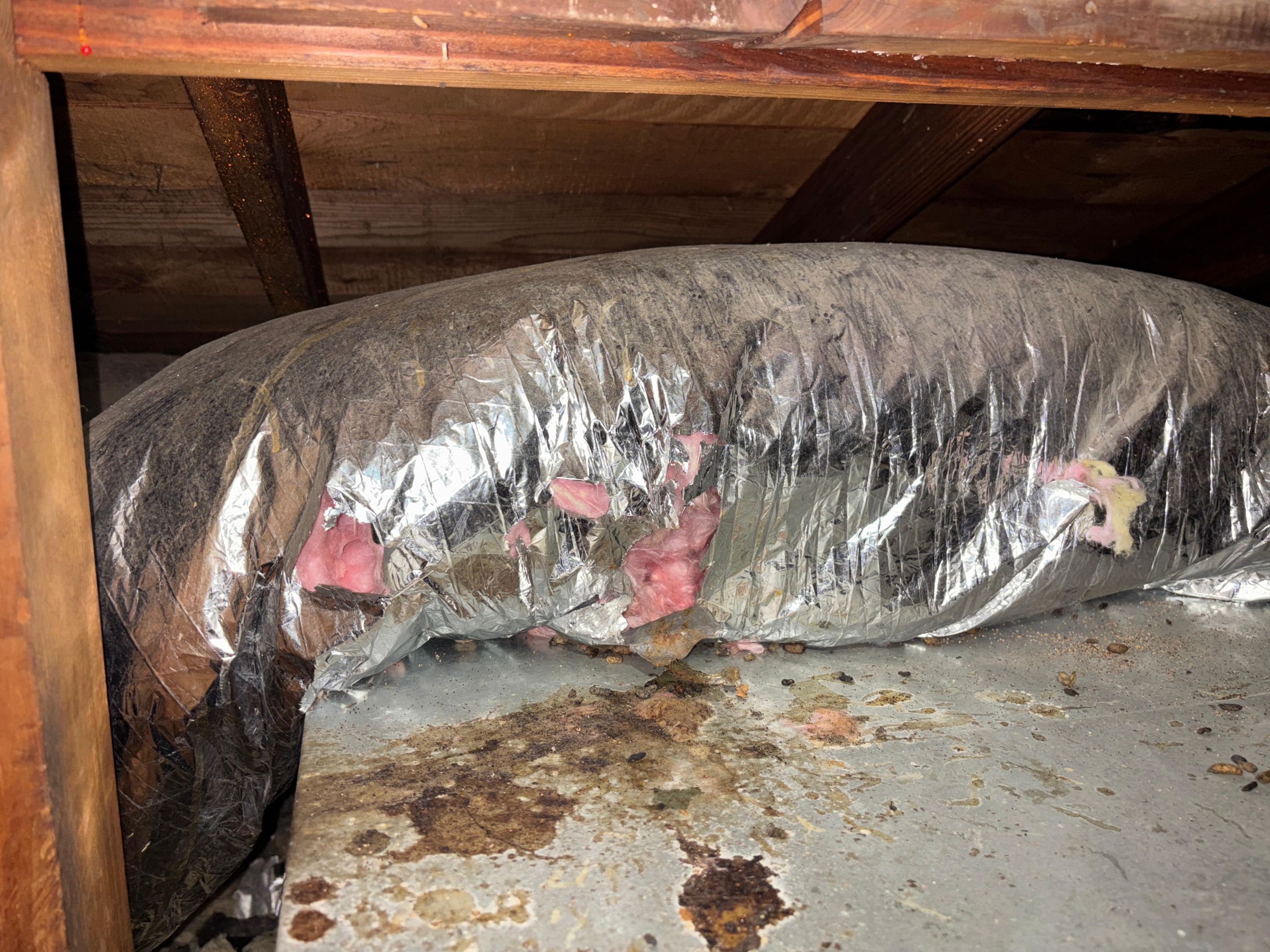 Project in Venice by Insulation Labs