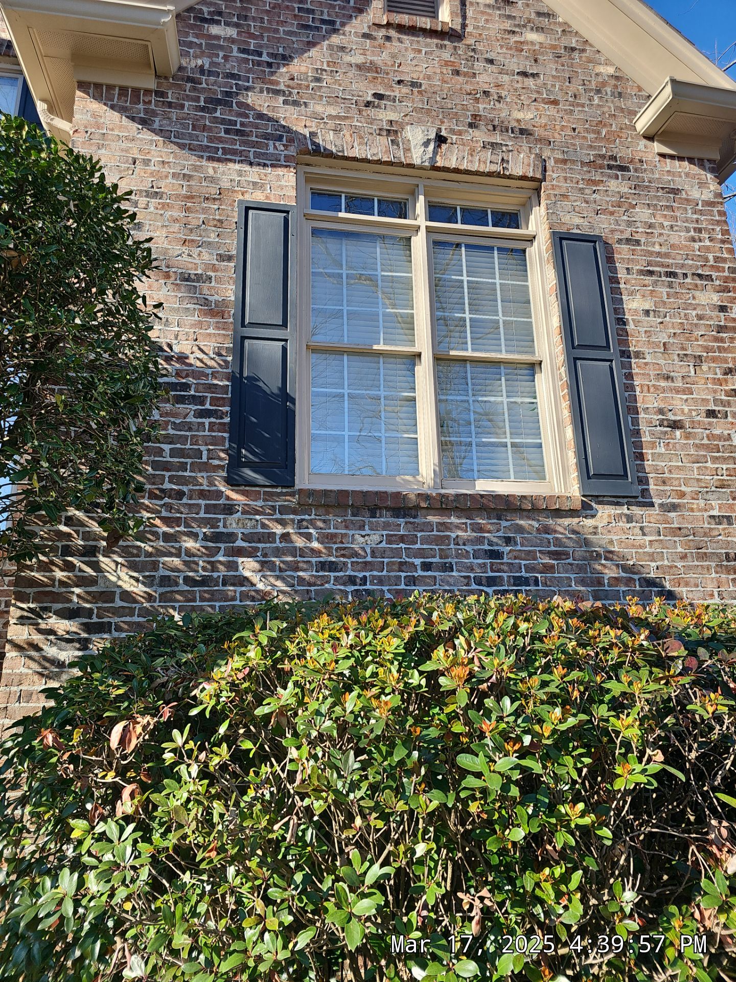 Dew Project in Hoover by The Window Source