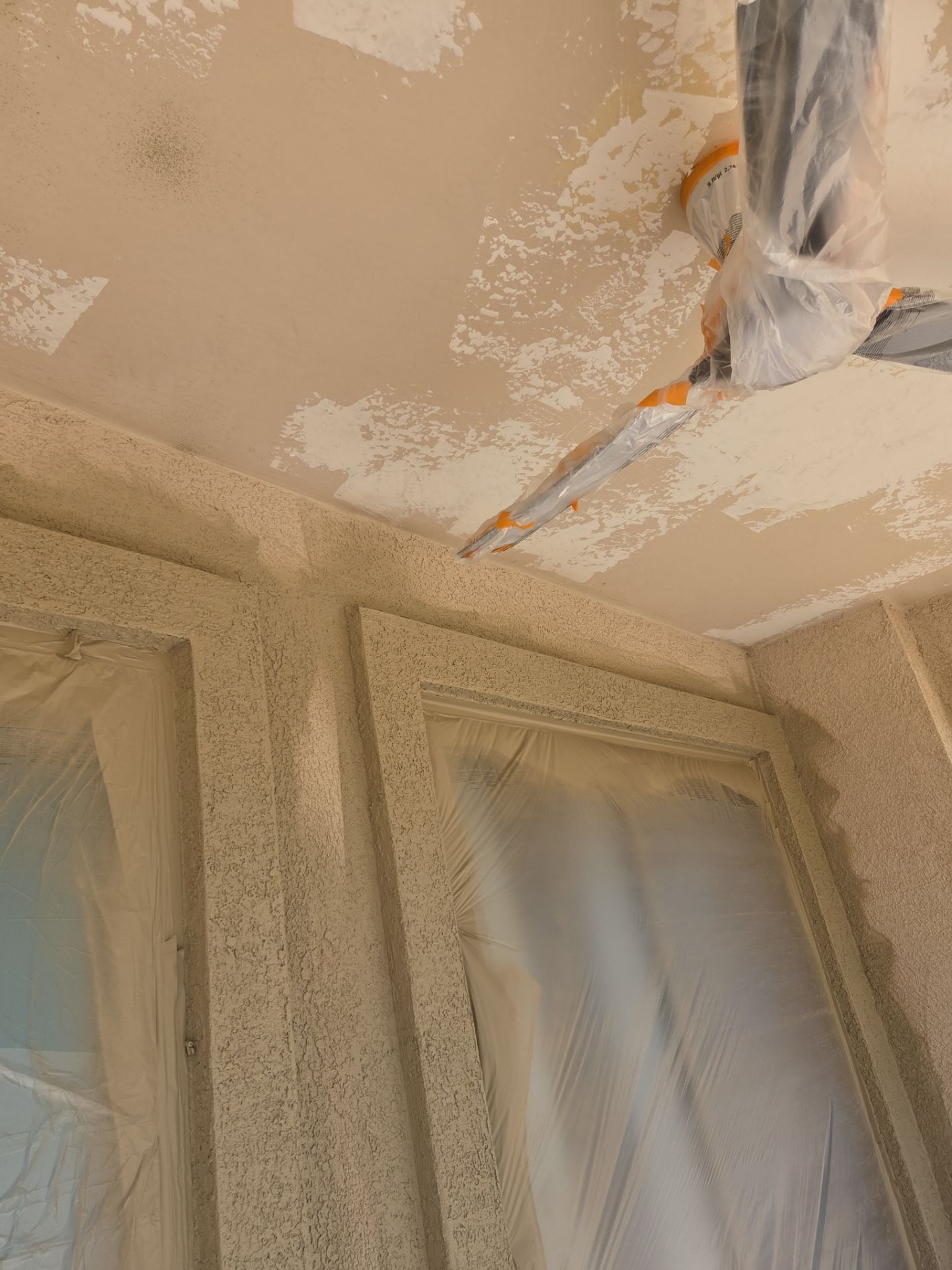 Exterior Painting - Chandler by Crash of Rhinos Painting & Garage Floors