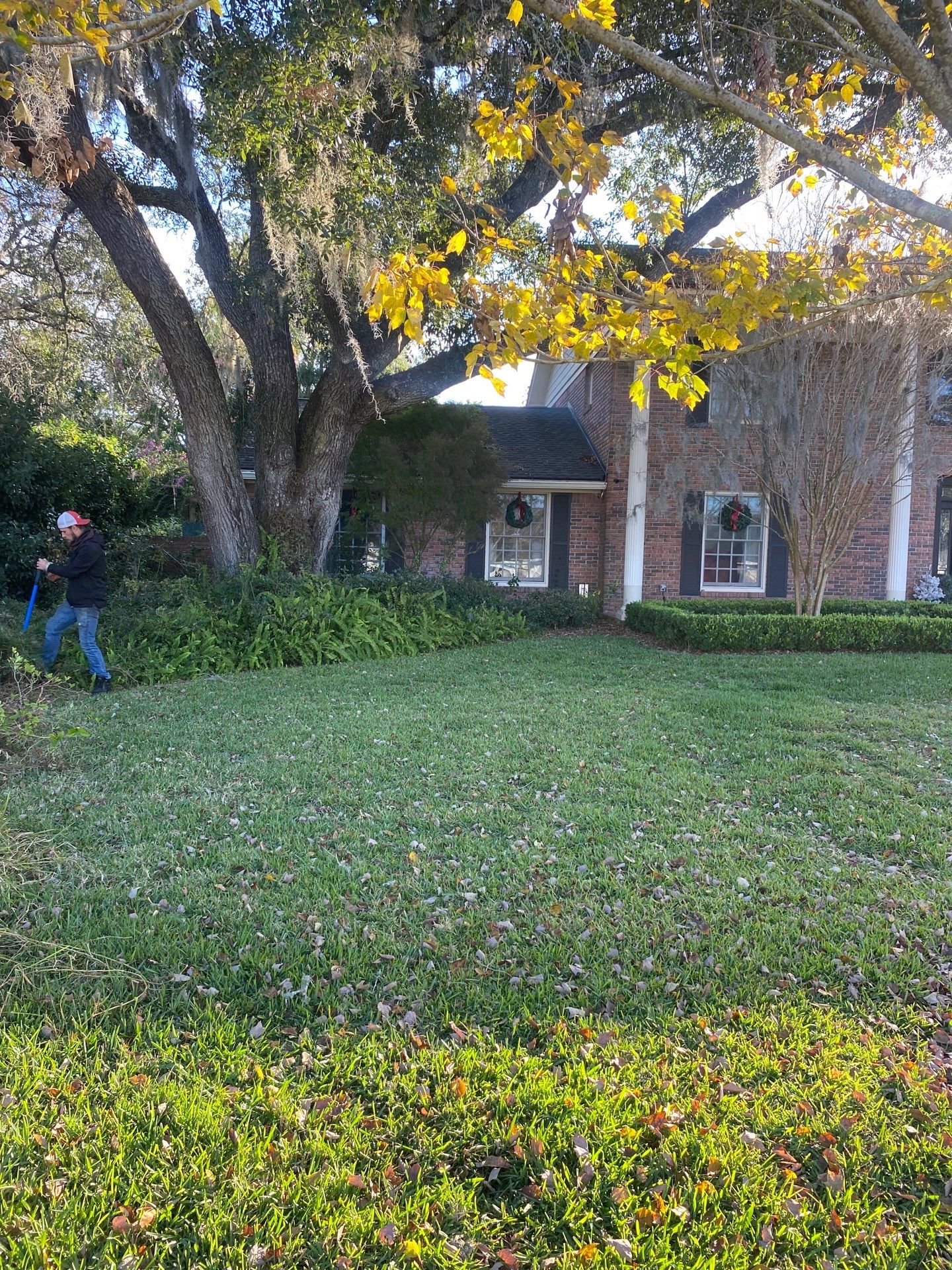 Deerwood Resident | Extreme Cleanup by ProGreen Services
