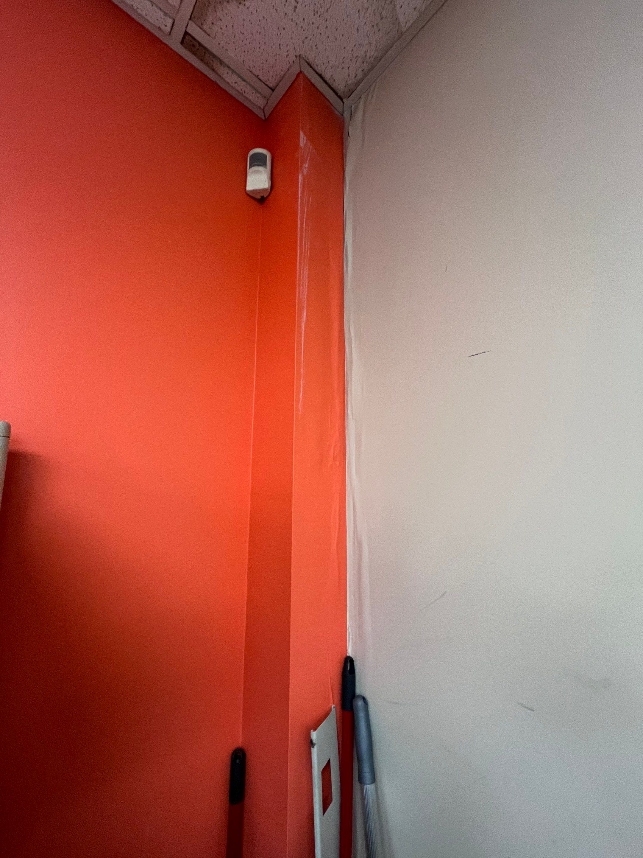 Erika Cross - Interior by Lakeshore Painting Co. LLC