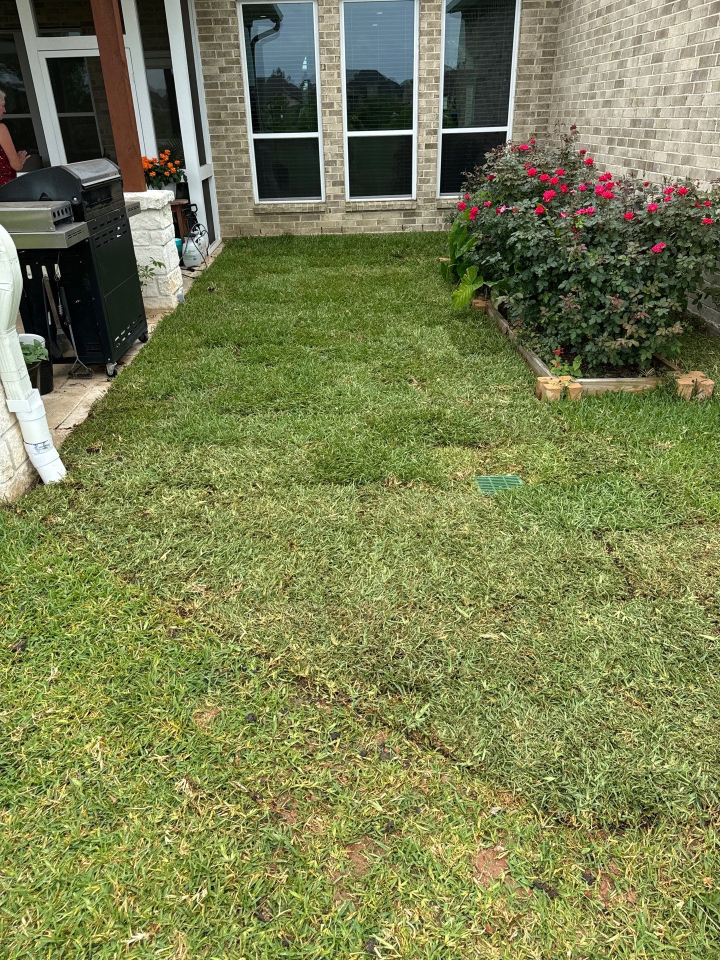 🌟 Mr. & Mrs. Wheeler’s Drainage & Landscape Transformation by Texas Urban Elements