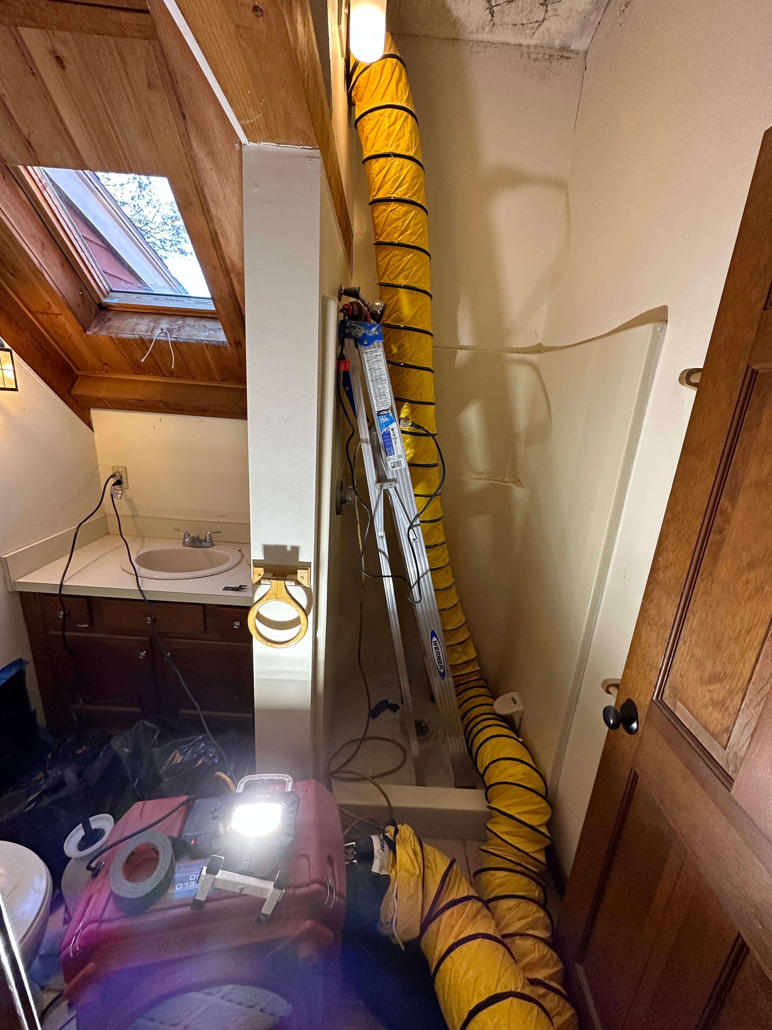 Bathroom Mold Remediation by Home Guarantee, LLC