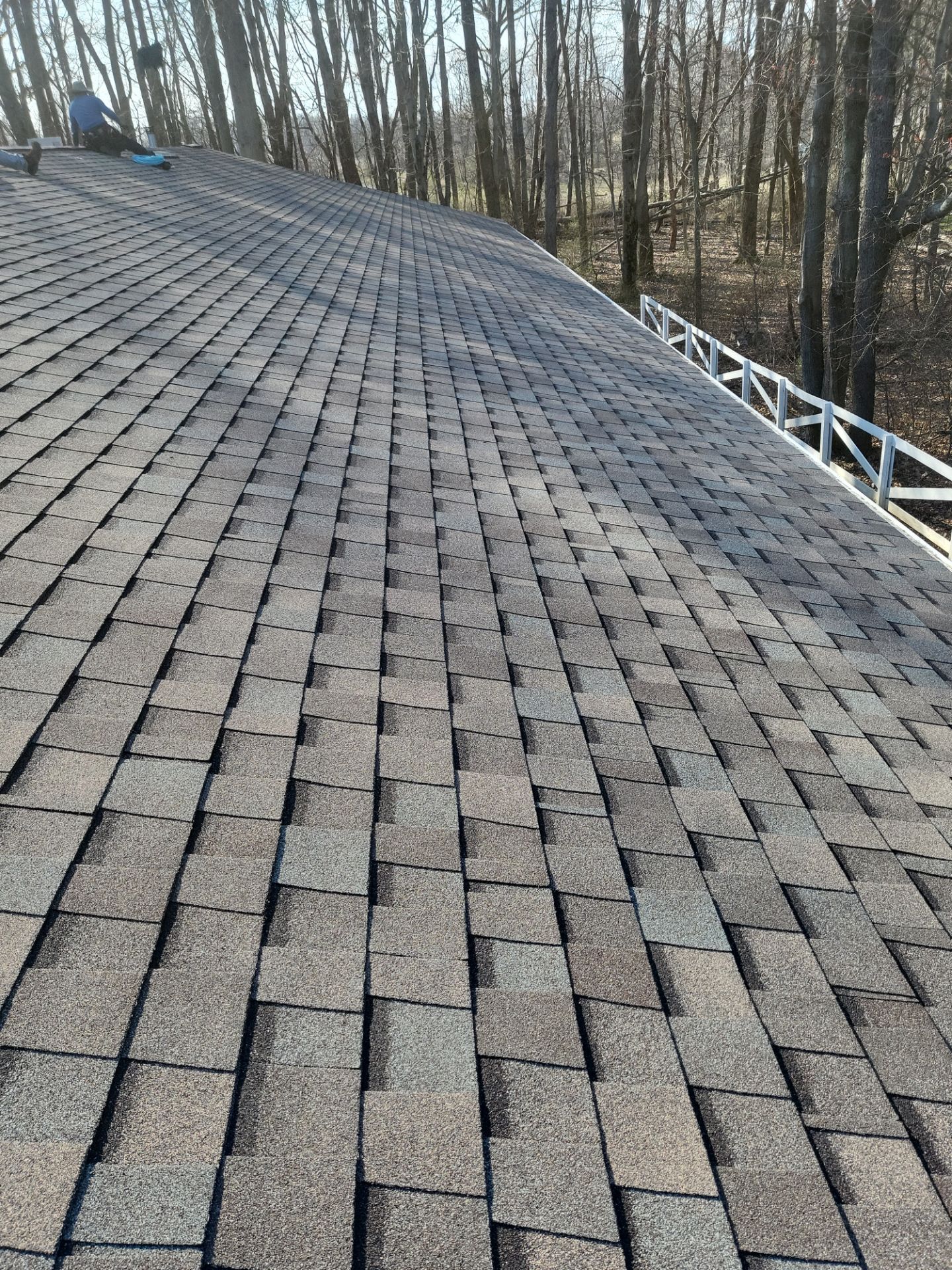 Atlas Pinnacle Color: Majestic Shake; Drip Edge Color: Royal Brown by Eagle Eye Roofing