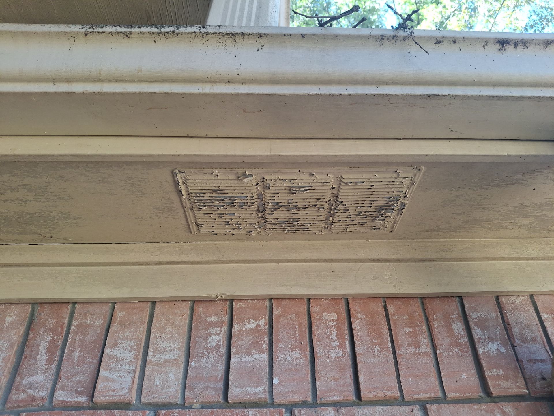 From Peeling Paint to Stunning Olive Green | Longview, TX Exterior Paint Job by Quality Coats Painting