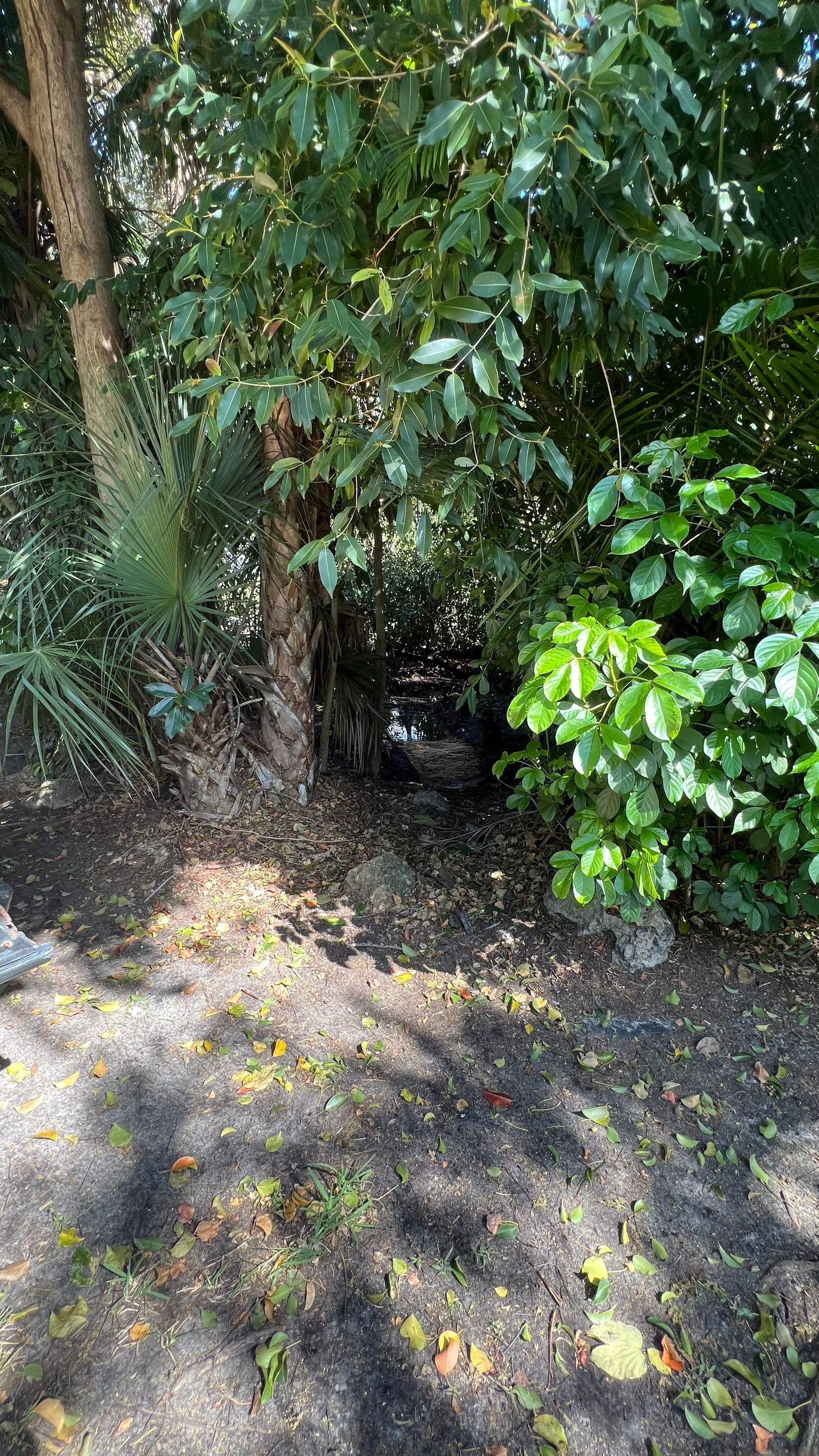 Naples Community Storm Water System Maintenance by APS Power & Water