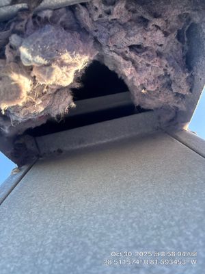 Dryer Vent Cleaning in Clermont