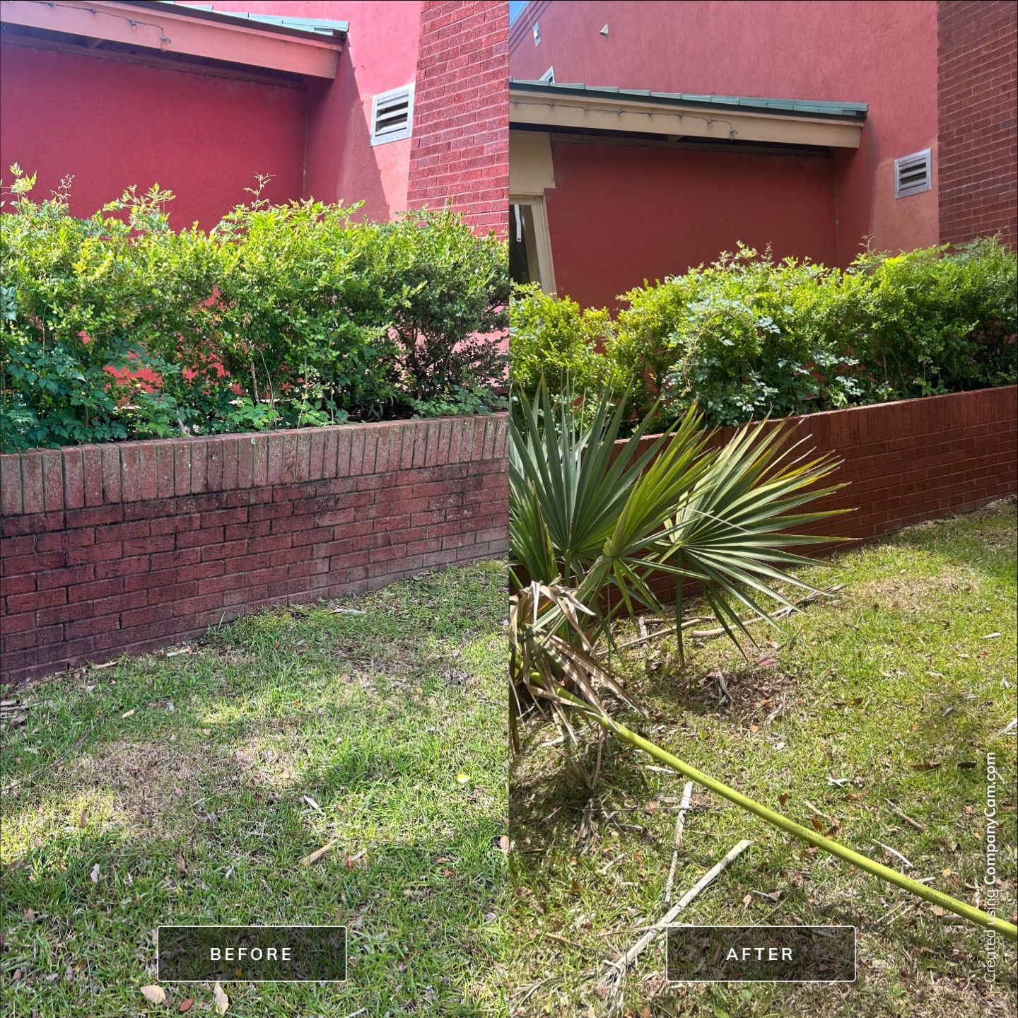 House Washing in Wilmington by Shark Power Washing