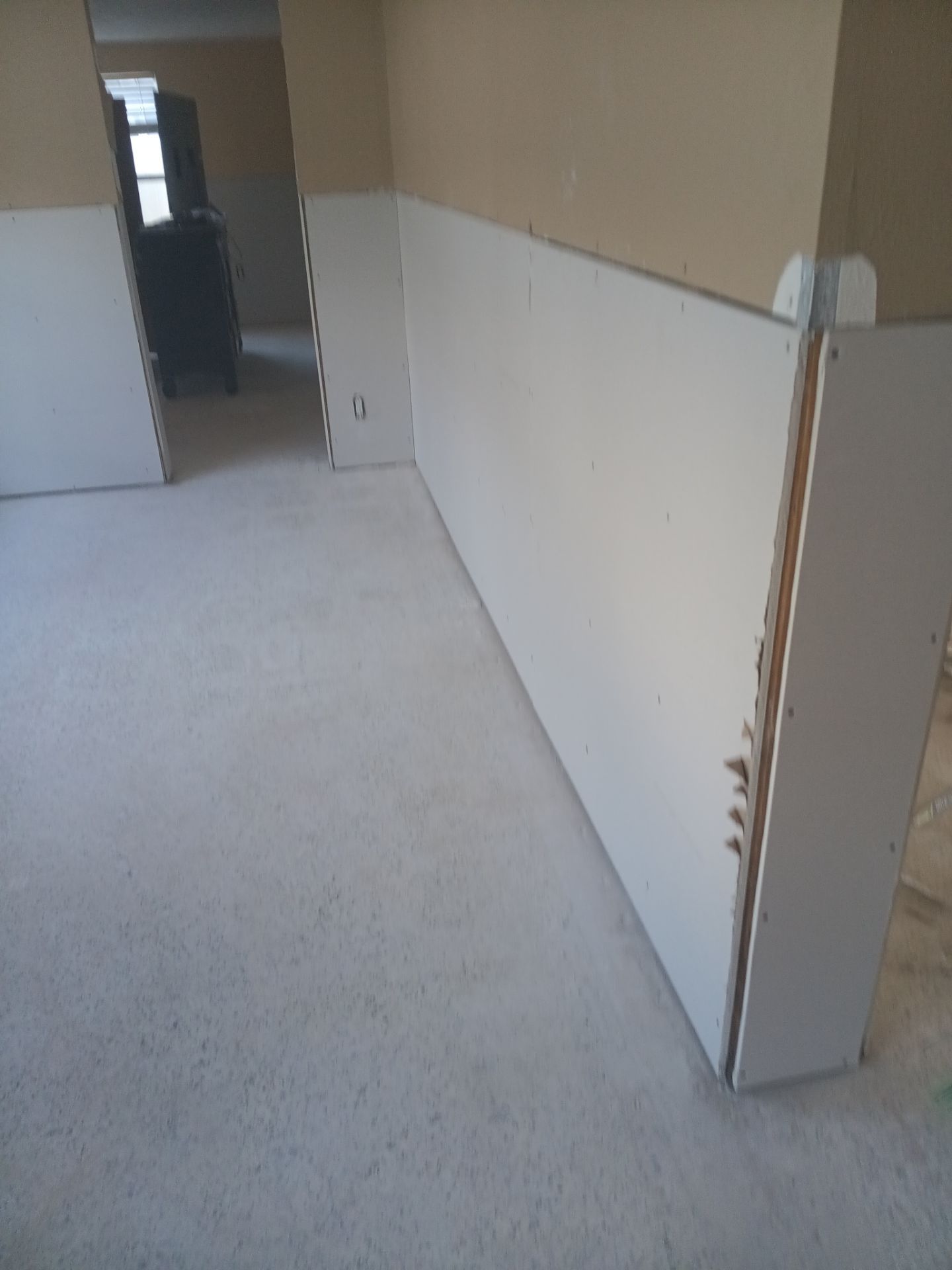 Mold Remediation + Reconstruction Bradenton by Ampm Restoration Services 