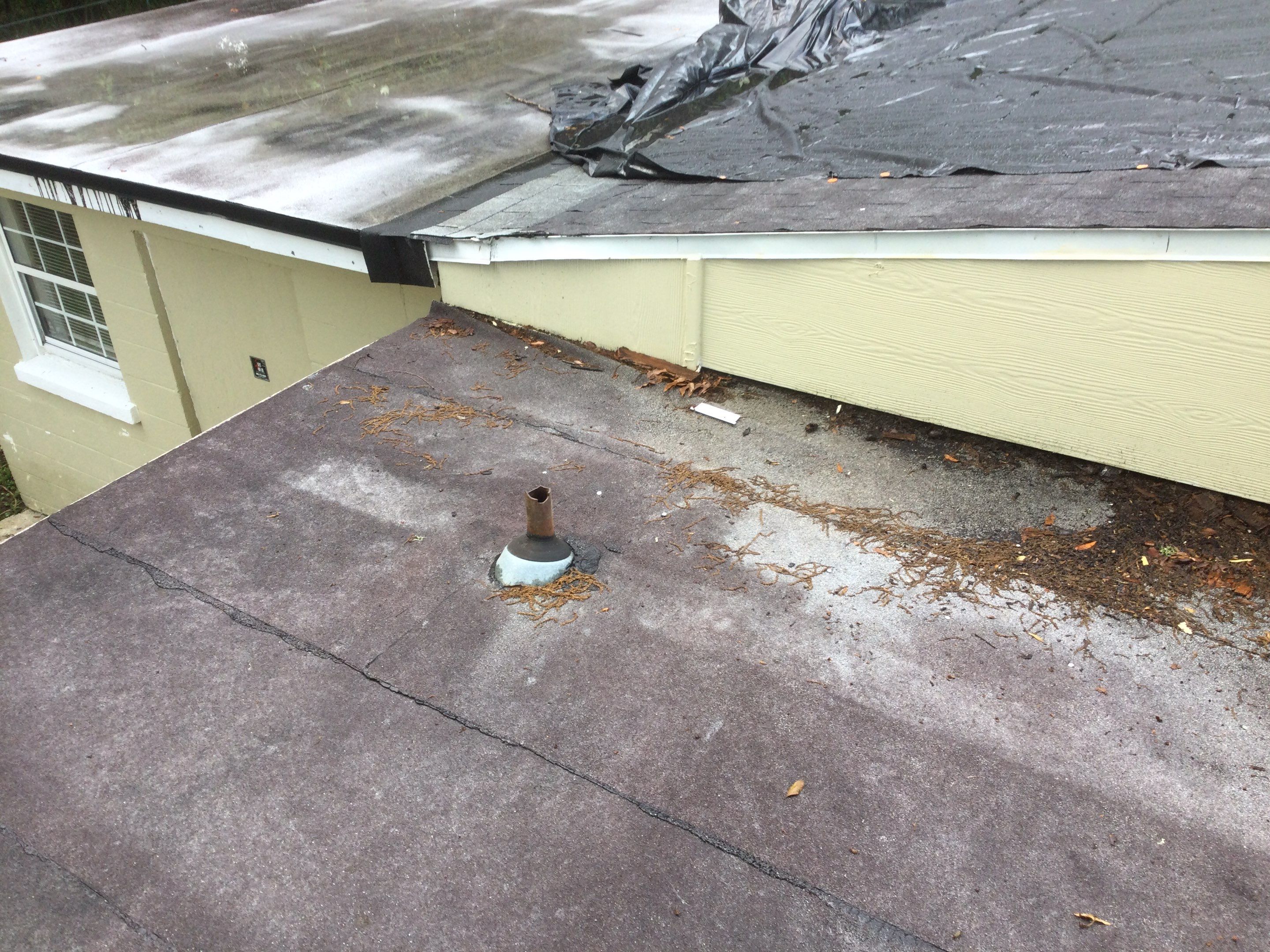 Shingle -> Shingle by Prime Roofing