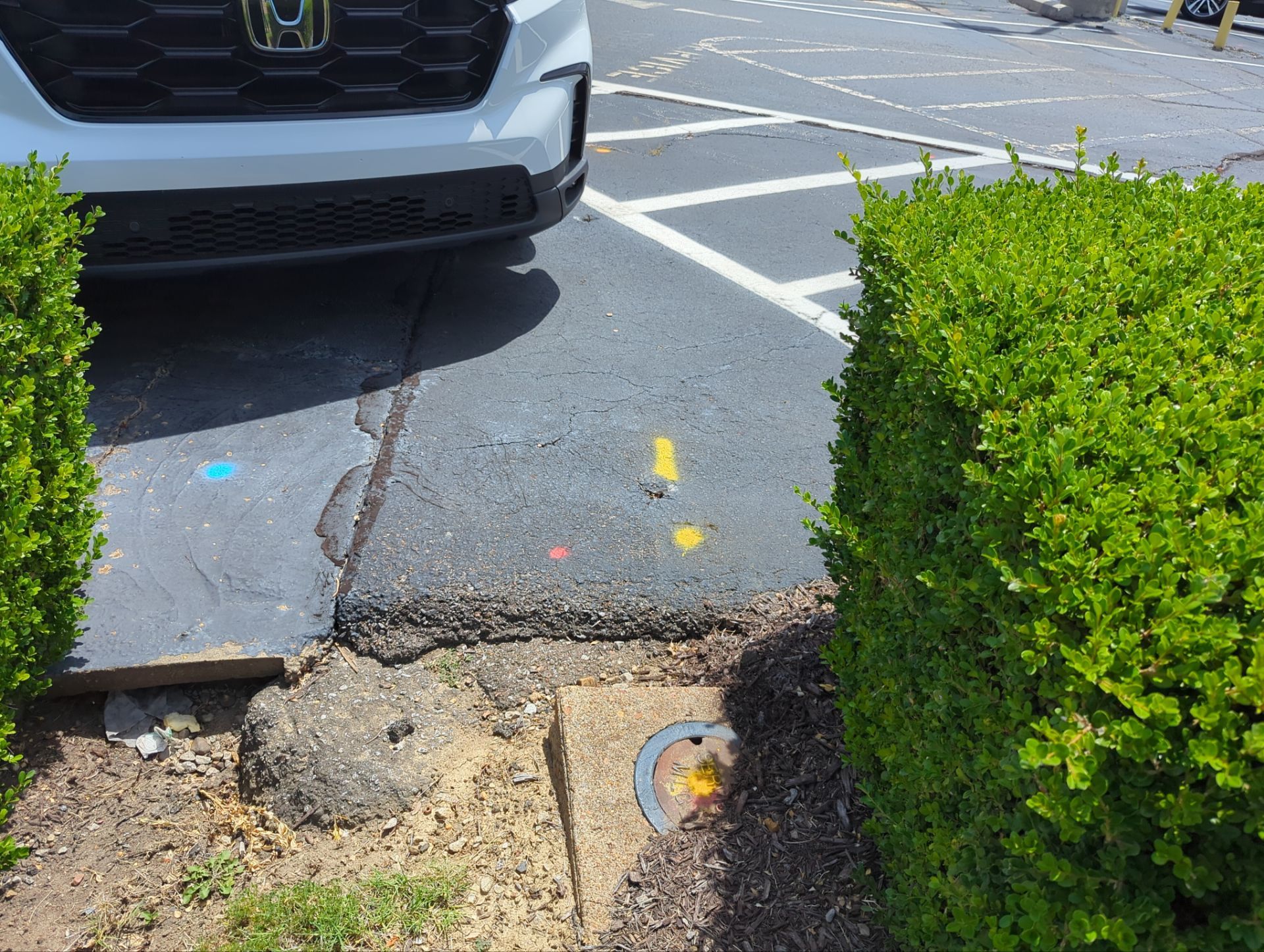 Utility Locating / Survey / Mapping by Alsip Locating Service, LLC