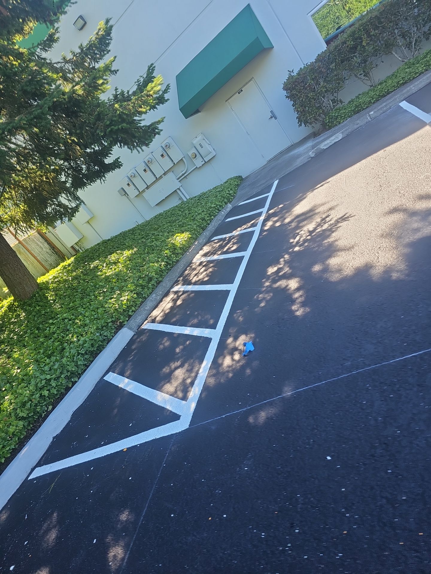 Commercial Sealcoat & Asphalt Patch Repair | Lynnwood  by Jireh Asphalt & Concrete Inc 