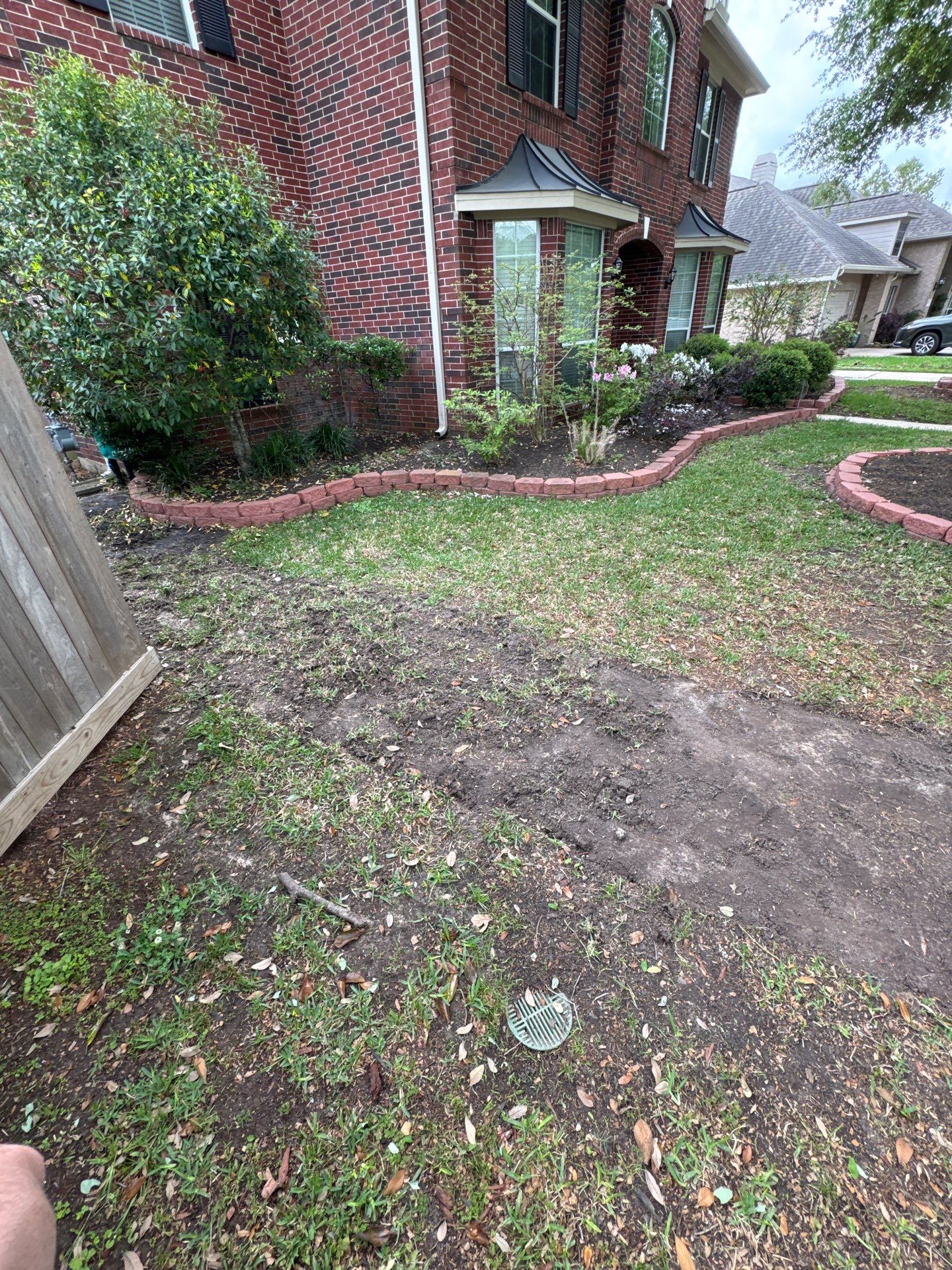 🌿 Mrs. Coleman’s Lawn & Drainage Restoration by Texas Urban Elements