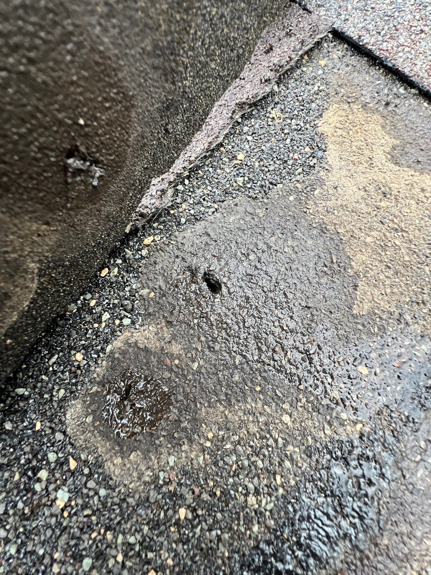 Residential Roofing Repair using Owen's Corning Duration (Lifetime) Shingles by Roof Repair Company