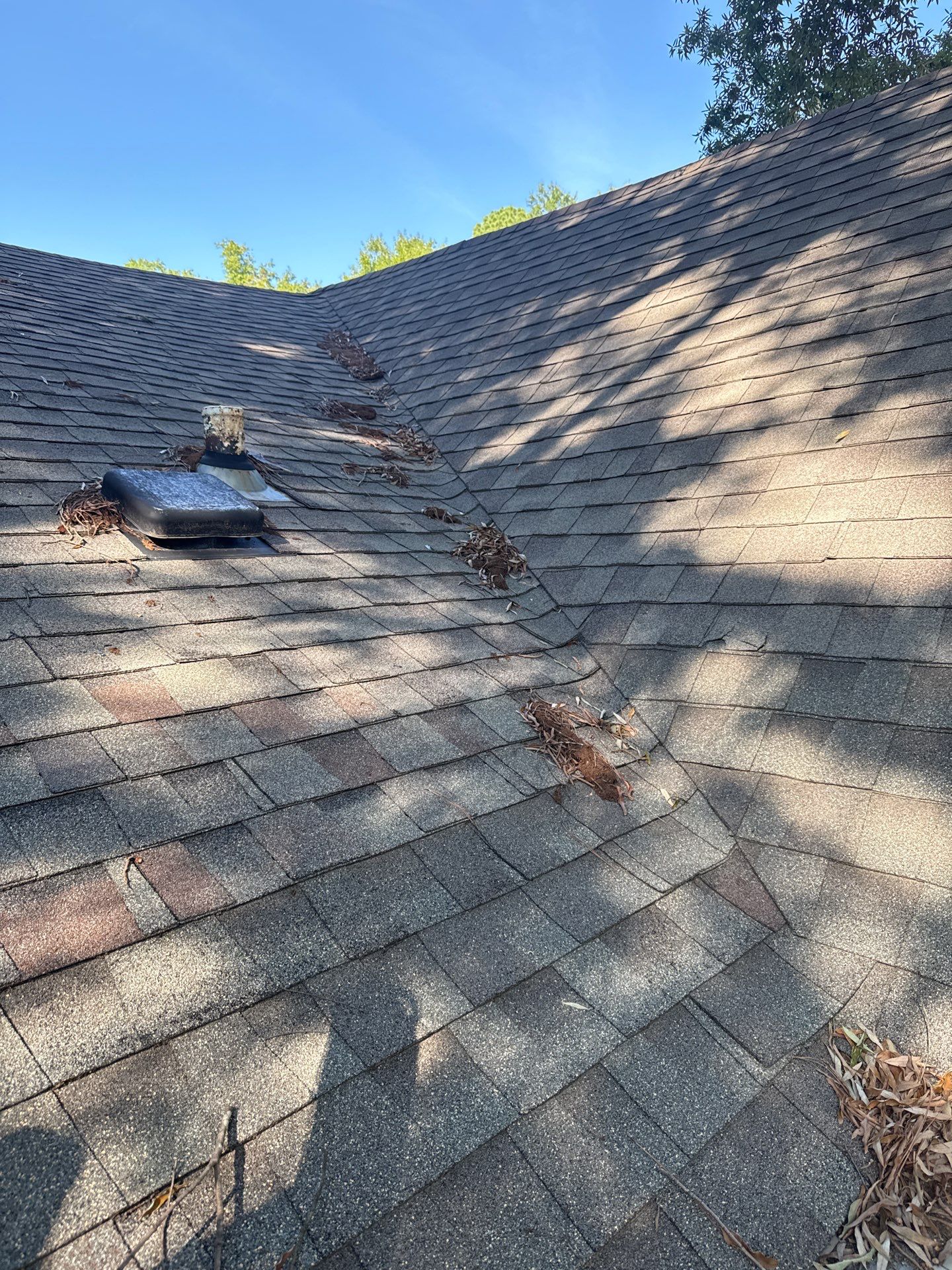 Architectural Shingle Roof Replacement & Chimney Repair - In Durham, NC by Carolina Professional Roofing, Inc