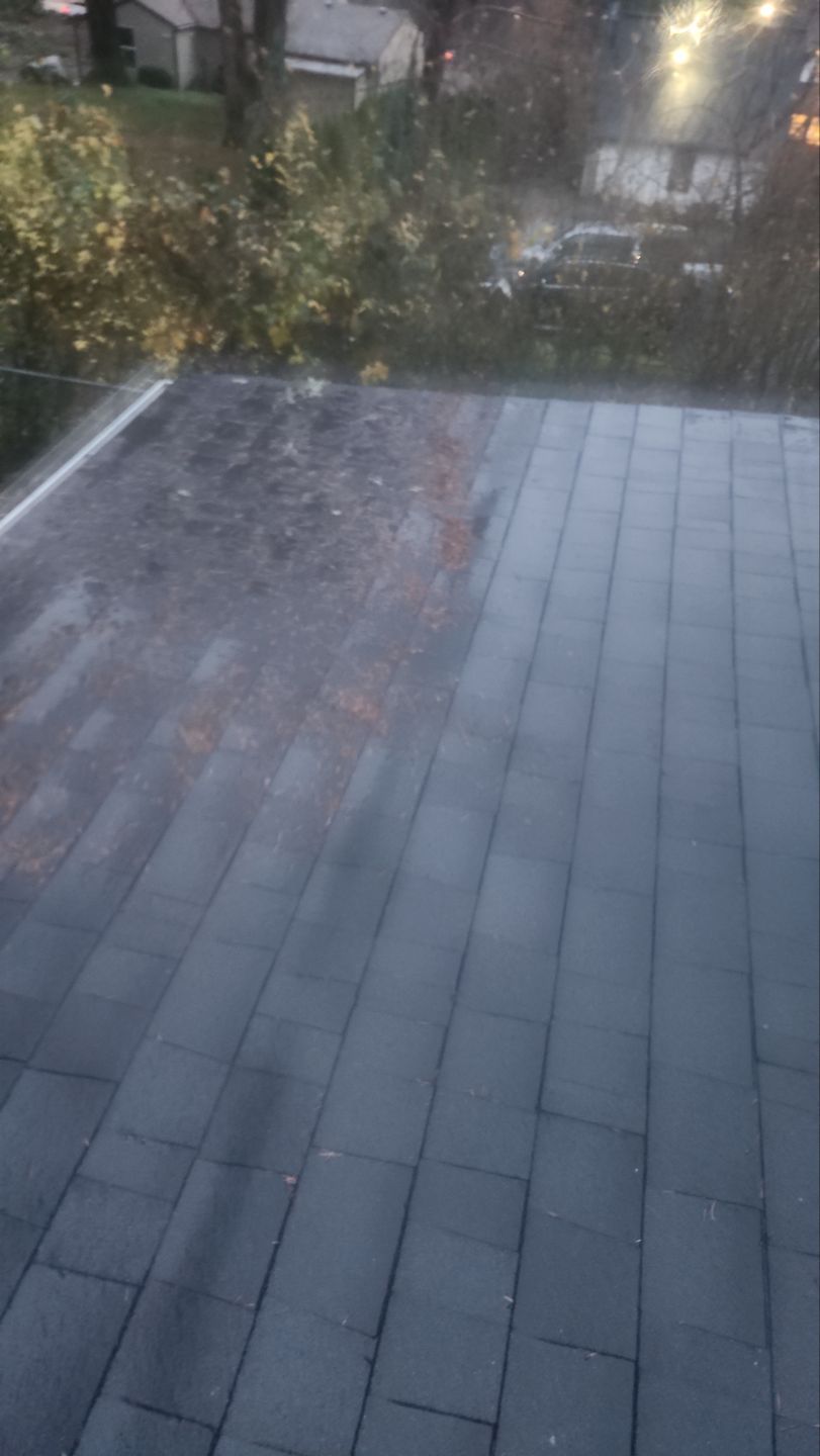 Driveway Repair using Pressure washing no chemicals by Willamette Outdoor Wash LLC