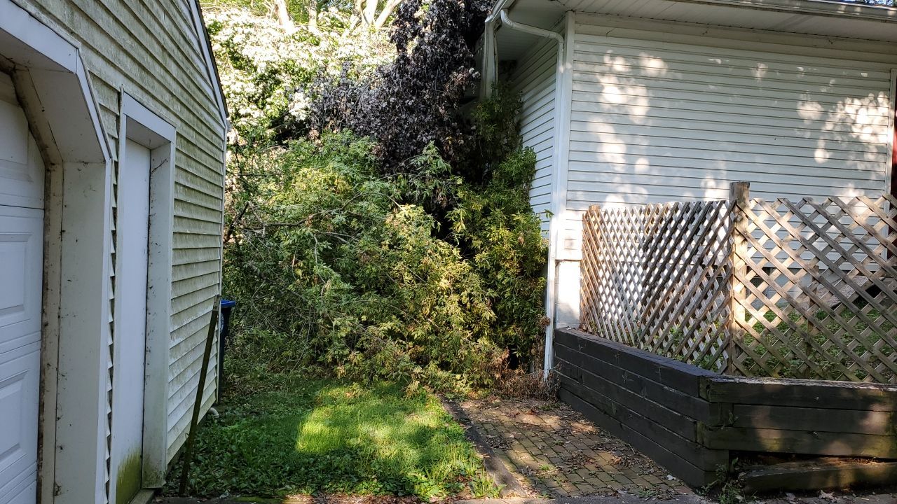 Storm Damaged Tree Removal  by Mike Jones & Sons Tree Service LLC 