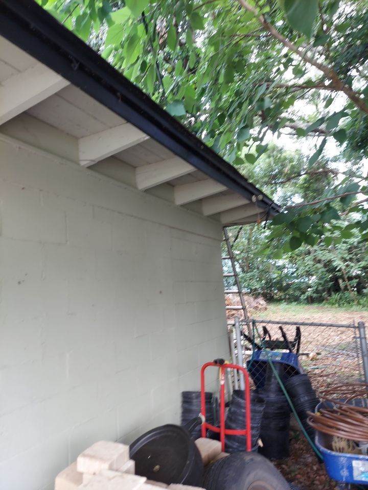 Flat Reroof Replacement Mount Dora FL by Pinnacle Roofing Group