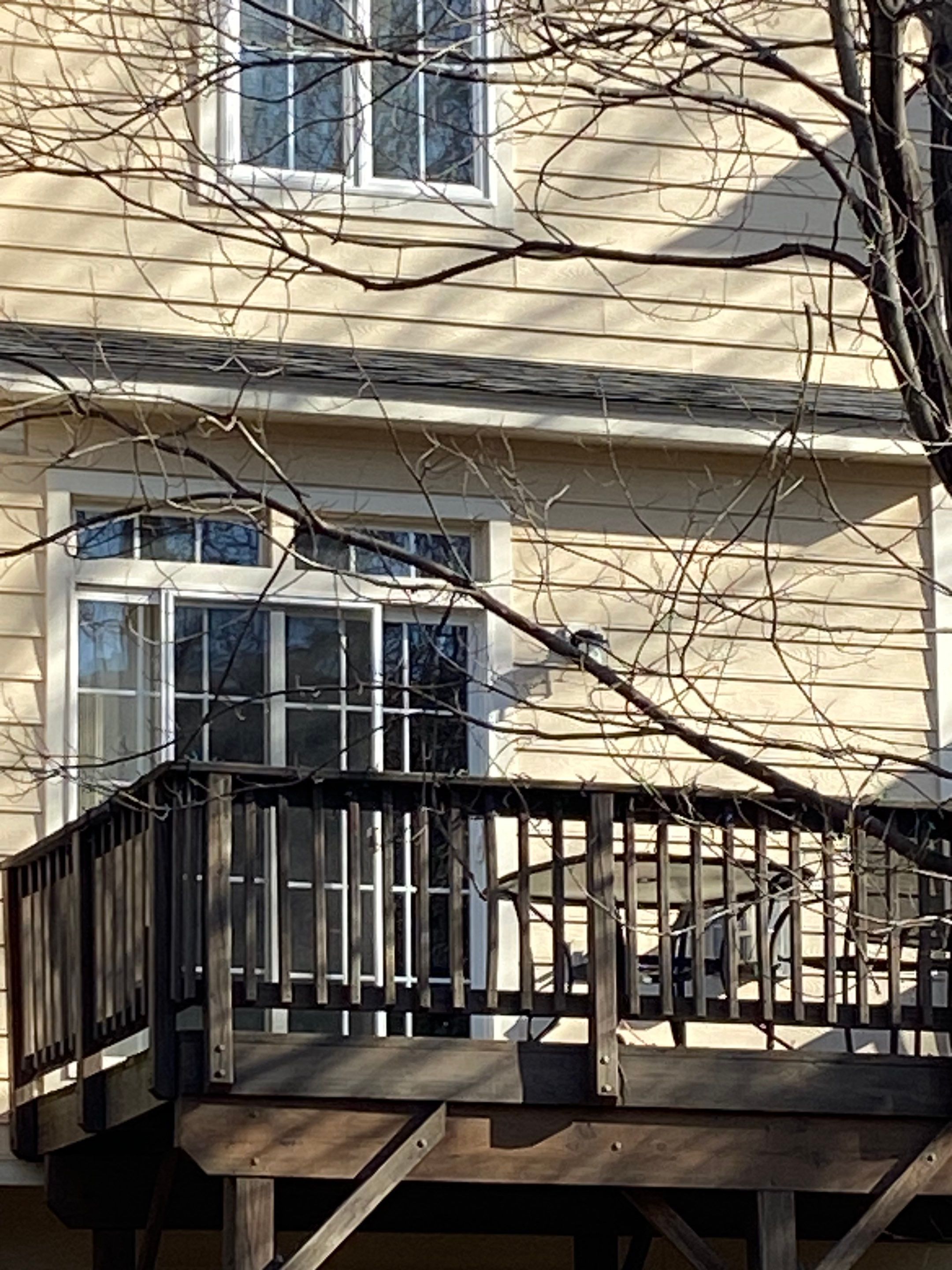 Fairfax: Residential Roof Replacement with CertainTeed Landmark in Charcoal Black by RM Banning, Inc.