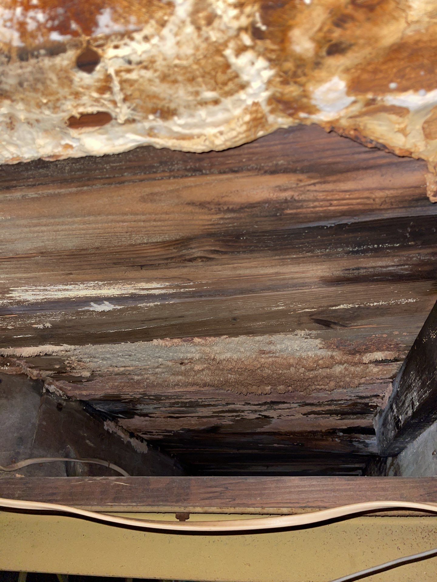 truses repair and new deking  by Xtreme interior company LLC