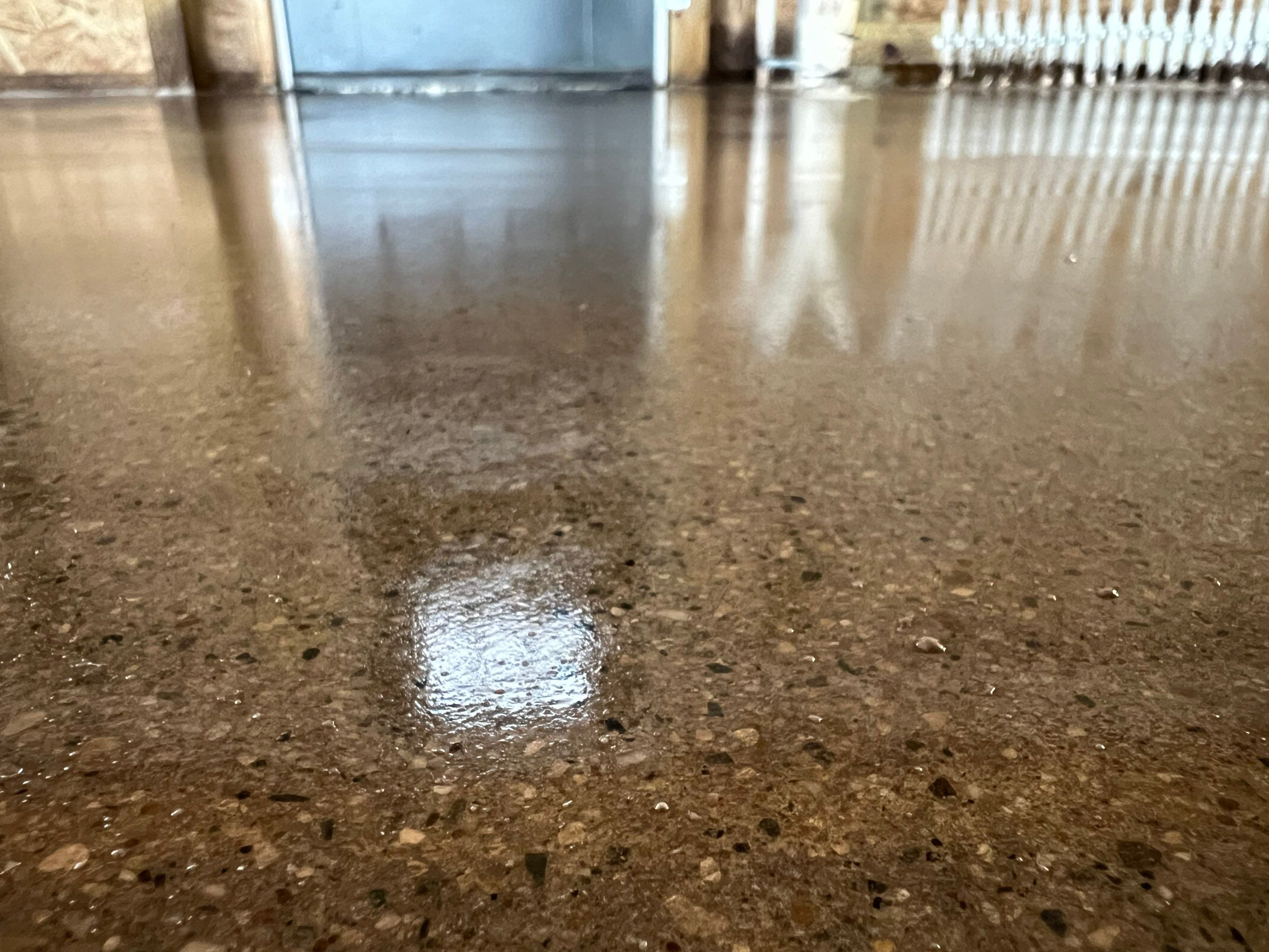 Concrete Polishing Transformation by Gordon Painting