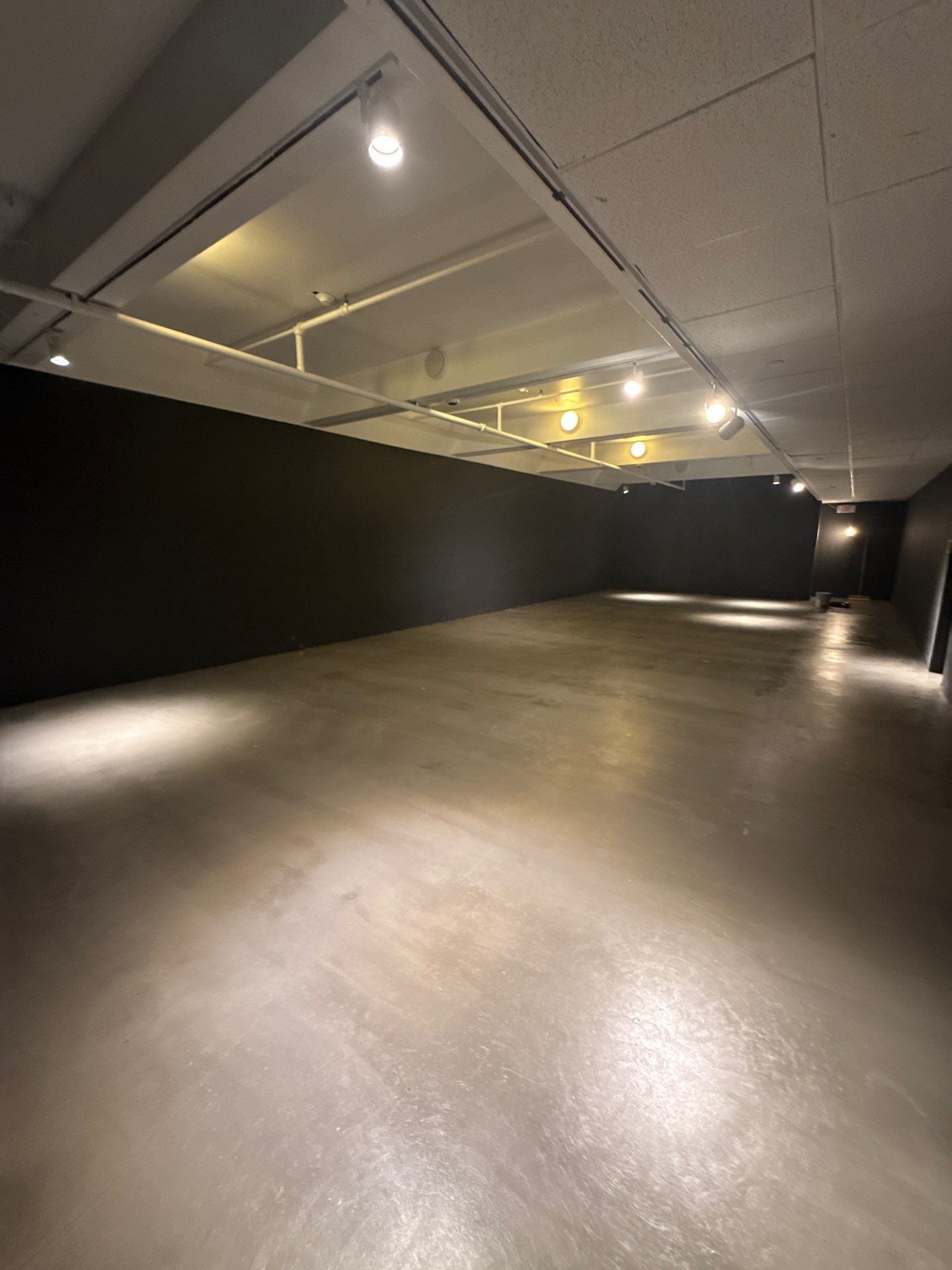 Grind off 20 layers of Paint Project in Pittsburgh by Floors in a Day, Inc