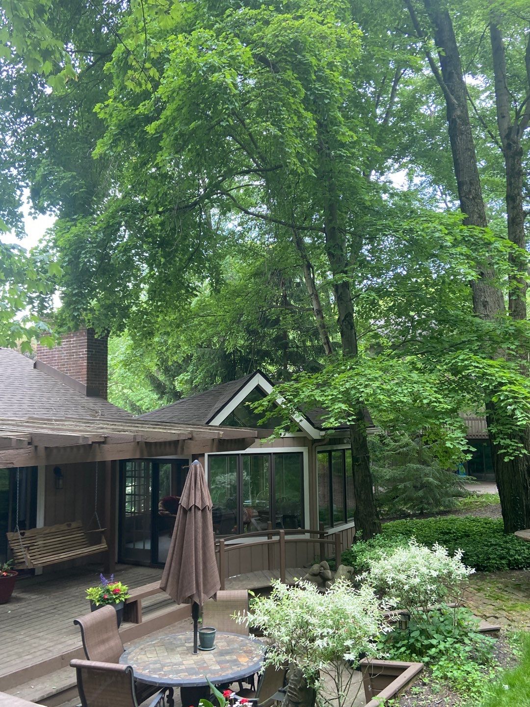 Tree Trimming using Tree Pruing by Mike Jones & Sons Tree Service LLC 