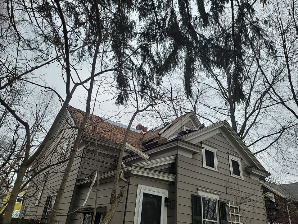ATLAS PINNACLE COLOR: PRISTINE PEWTER DRIP EDGE: BLACK by Eagle Eye Roofing