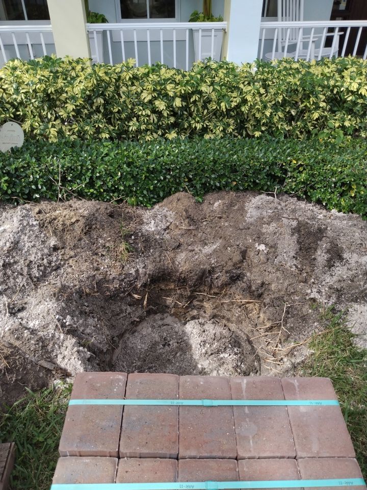 Hazard  by The Landscaping People