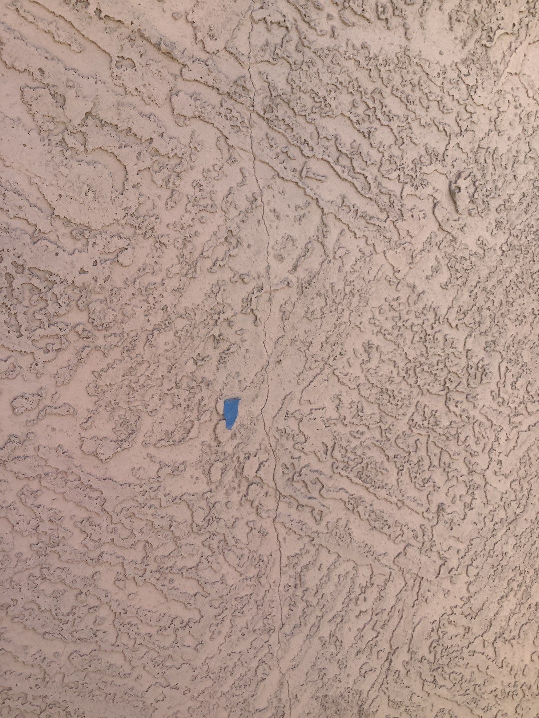 Exterior Painting - Glendale by Crash of Rhinos Painting & Garage Floors