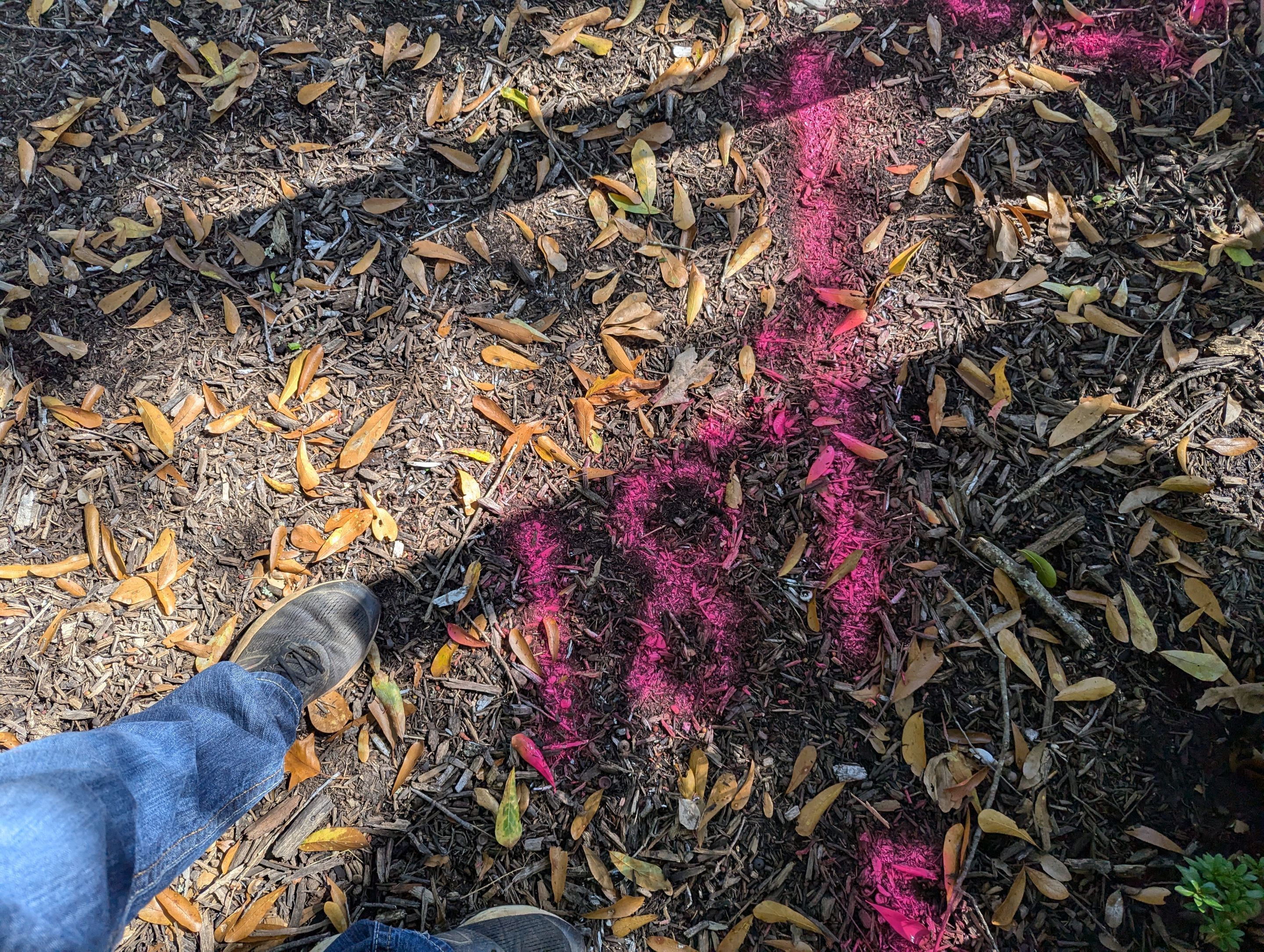 Utility Locating Services / GPR Request by Alsip Locating Service, LLC