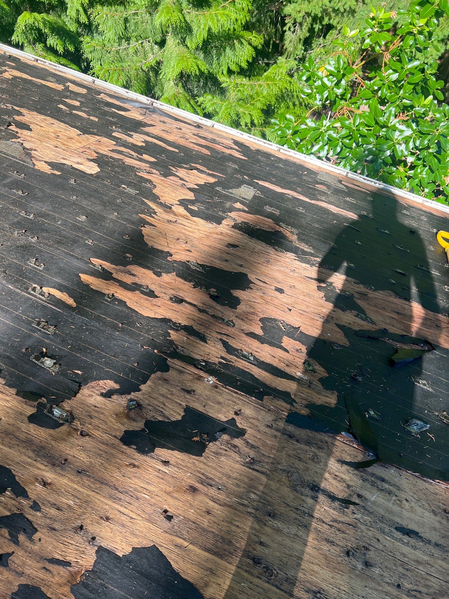 Project in Bellevue by Roofing Formula LLC