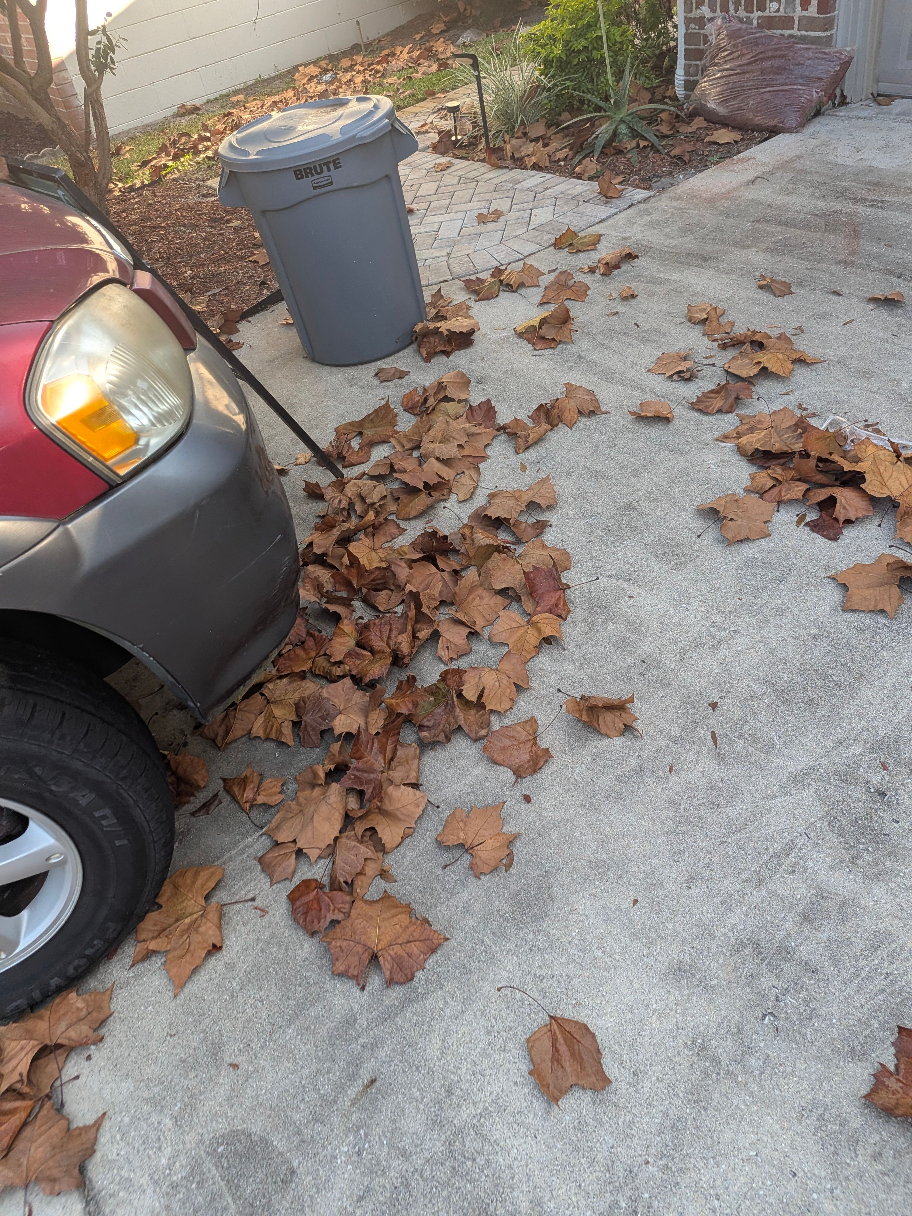 Large-Scale Leaf Removal & Property Cleanup — Jacksonville, FL (Arlington Area) by Harmoni Home Services