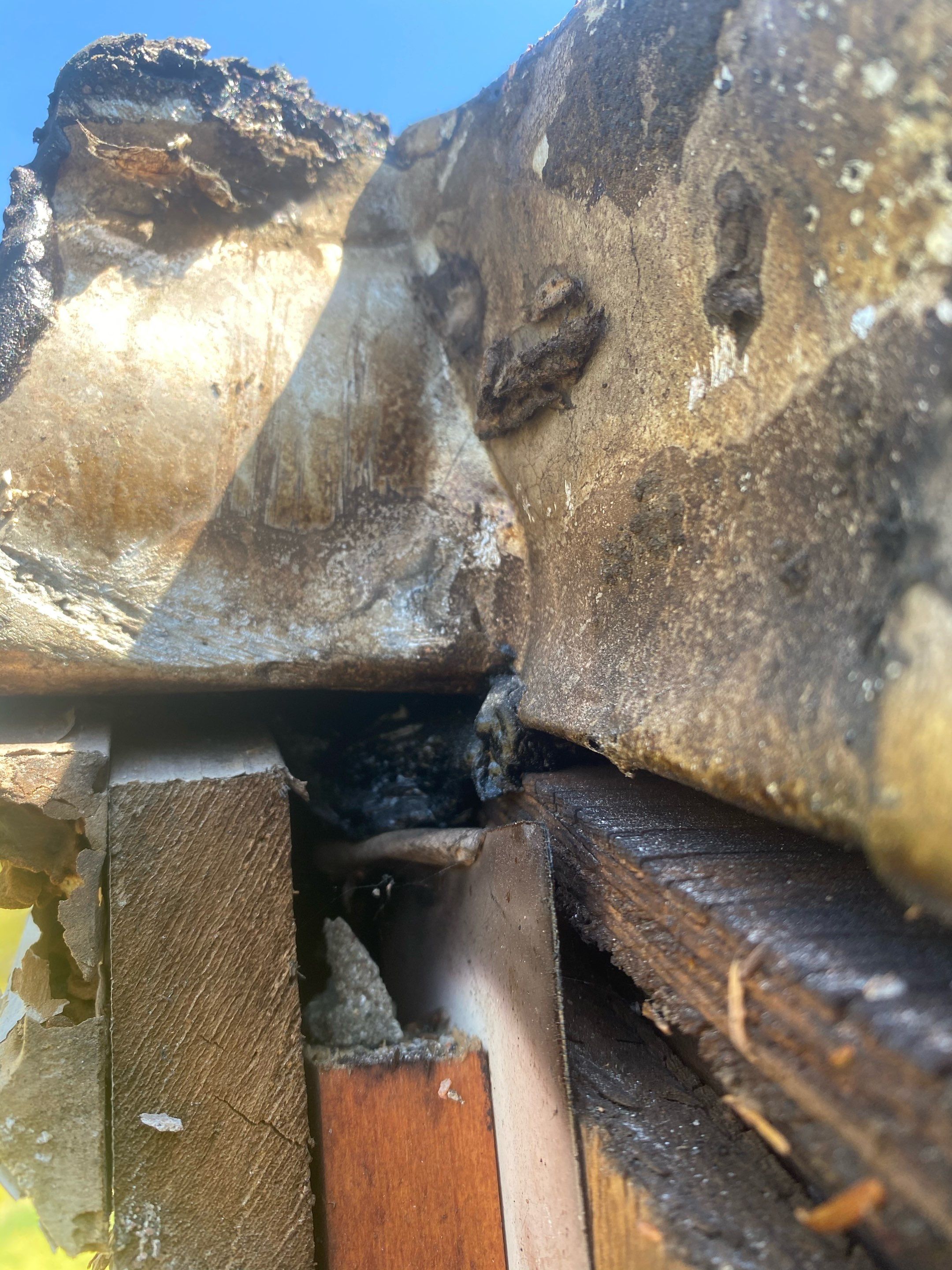 Siding Repair using Certainteed Mainstreet water intrusion by A Plus Exterior