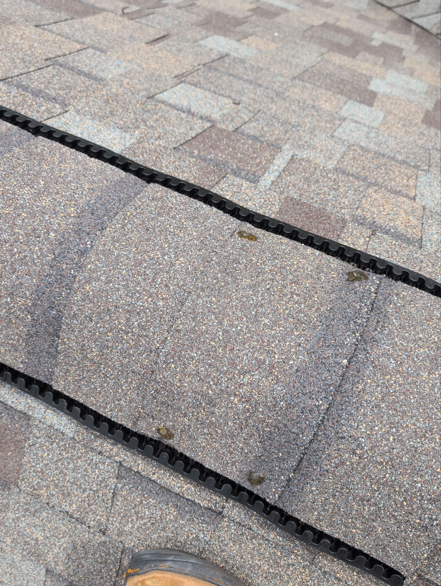 Roof Replacement in Cape Fair by Table Rock Design + Build