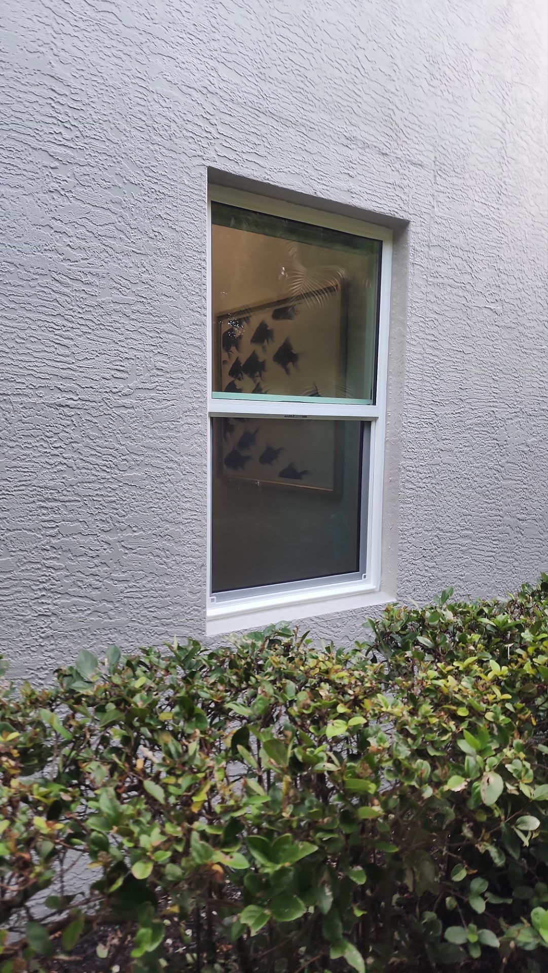 Window Installation using PGT by Windows For Life 