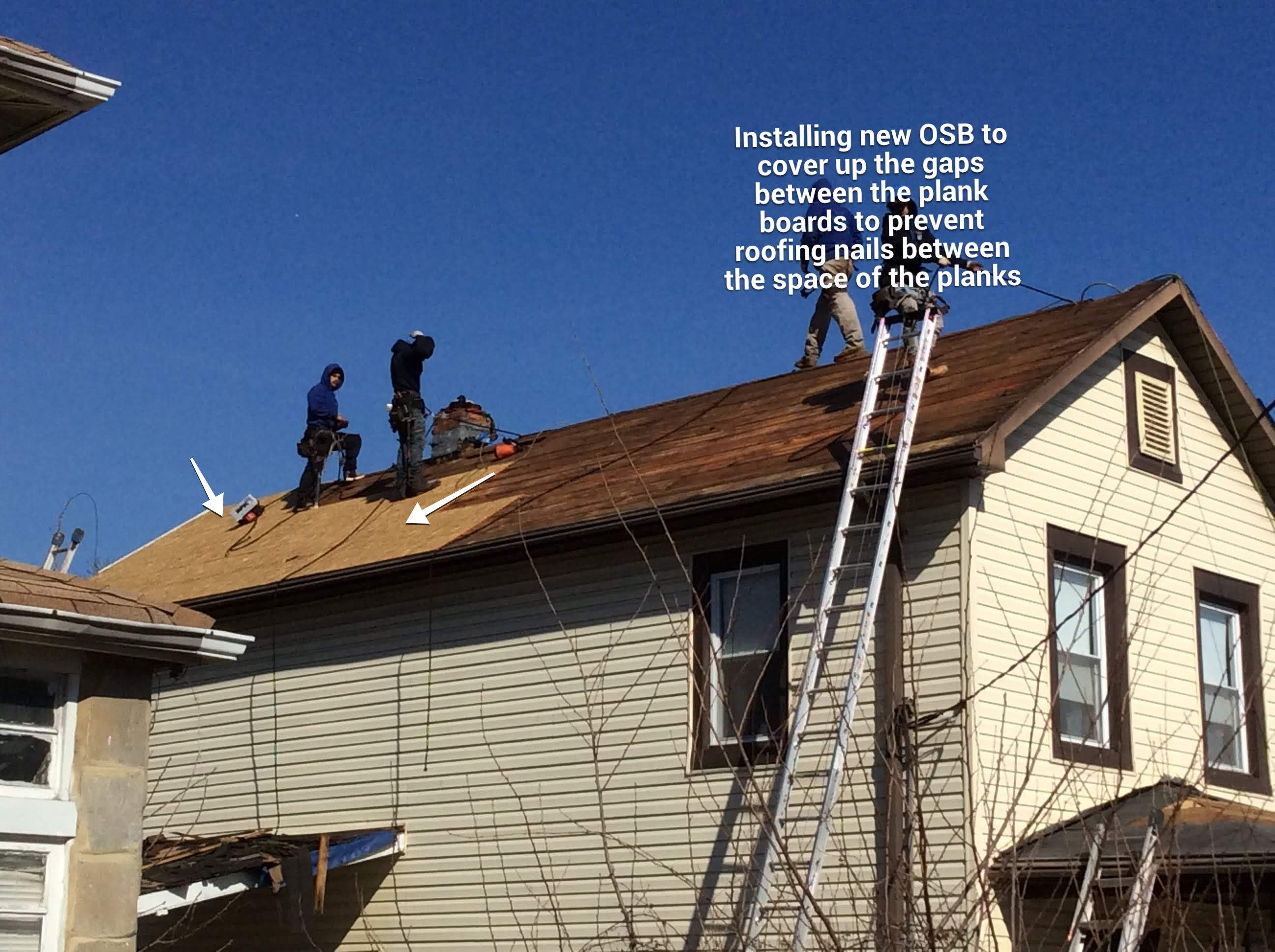 Color Shingle Burnt Sienna by Alpha Design Services