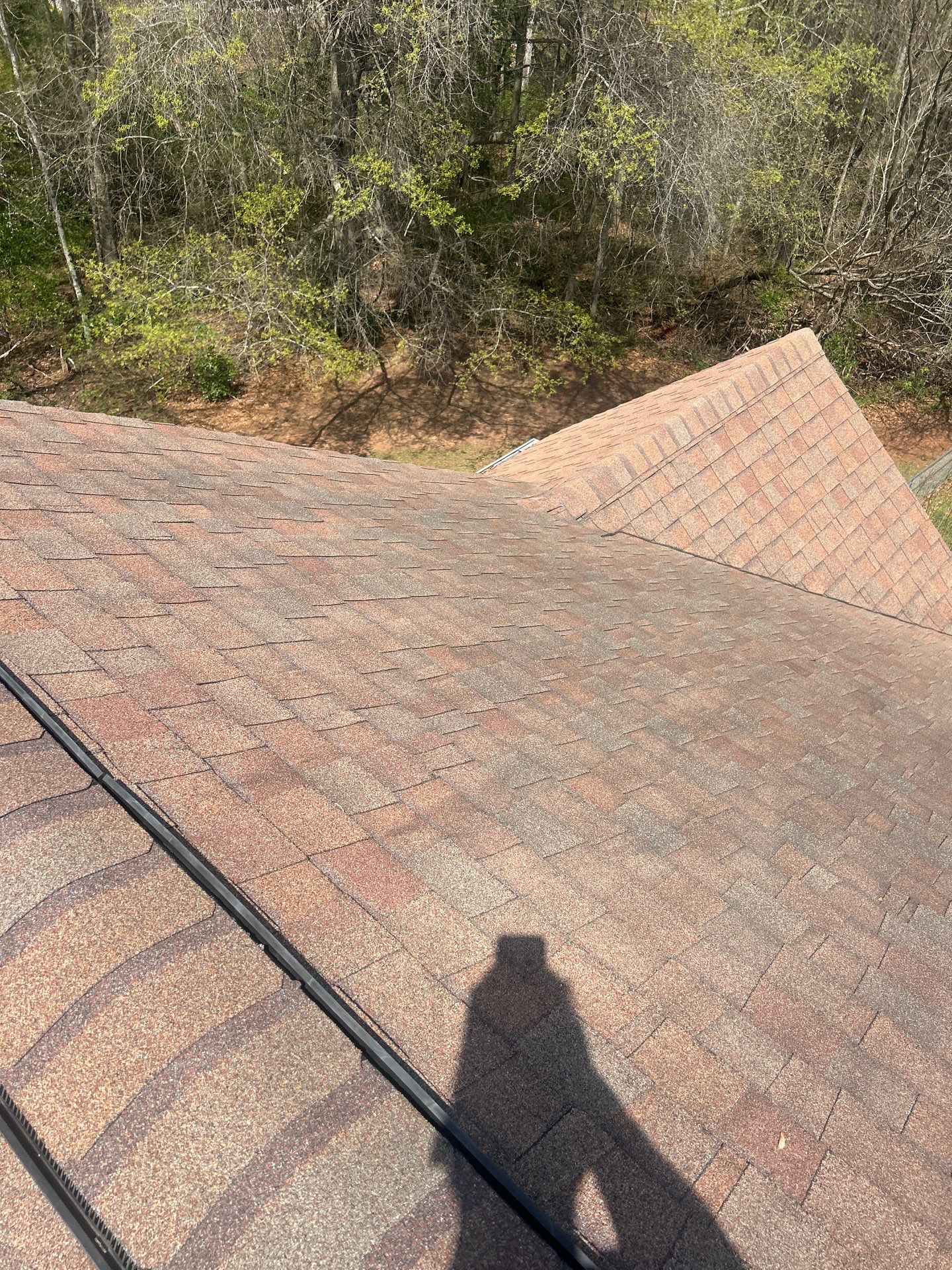Project in Westminster by Roofsters