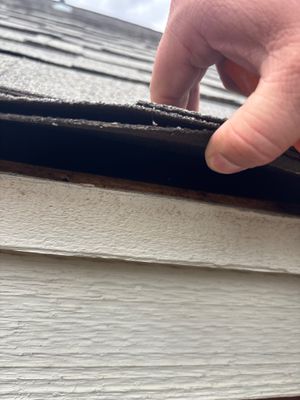 Close up of damaged asphalt shingle edge being lifted