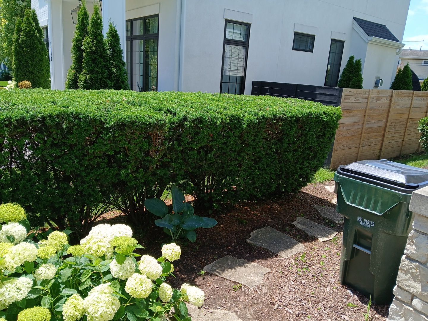 Lisa C. - Arlington Heights, IL by A&N