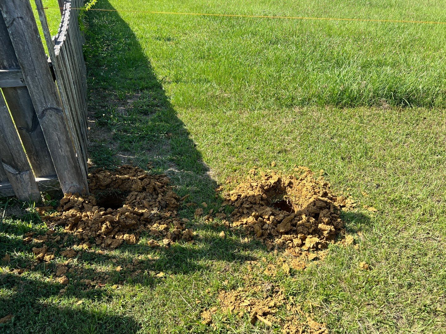 Lake View - Fence by Pillar and Pine