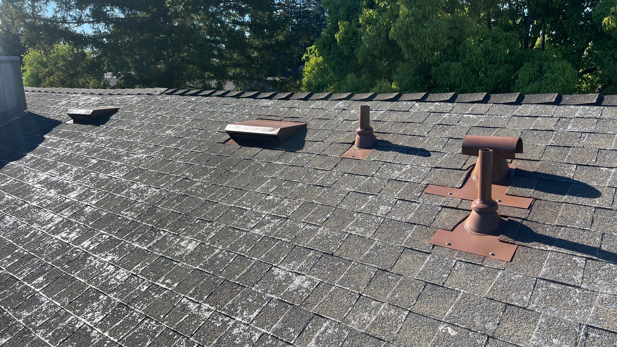 Roof Rejuvenation using Roof Maxx Treatment by Roof Maxx of Folsom