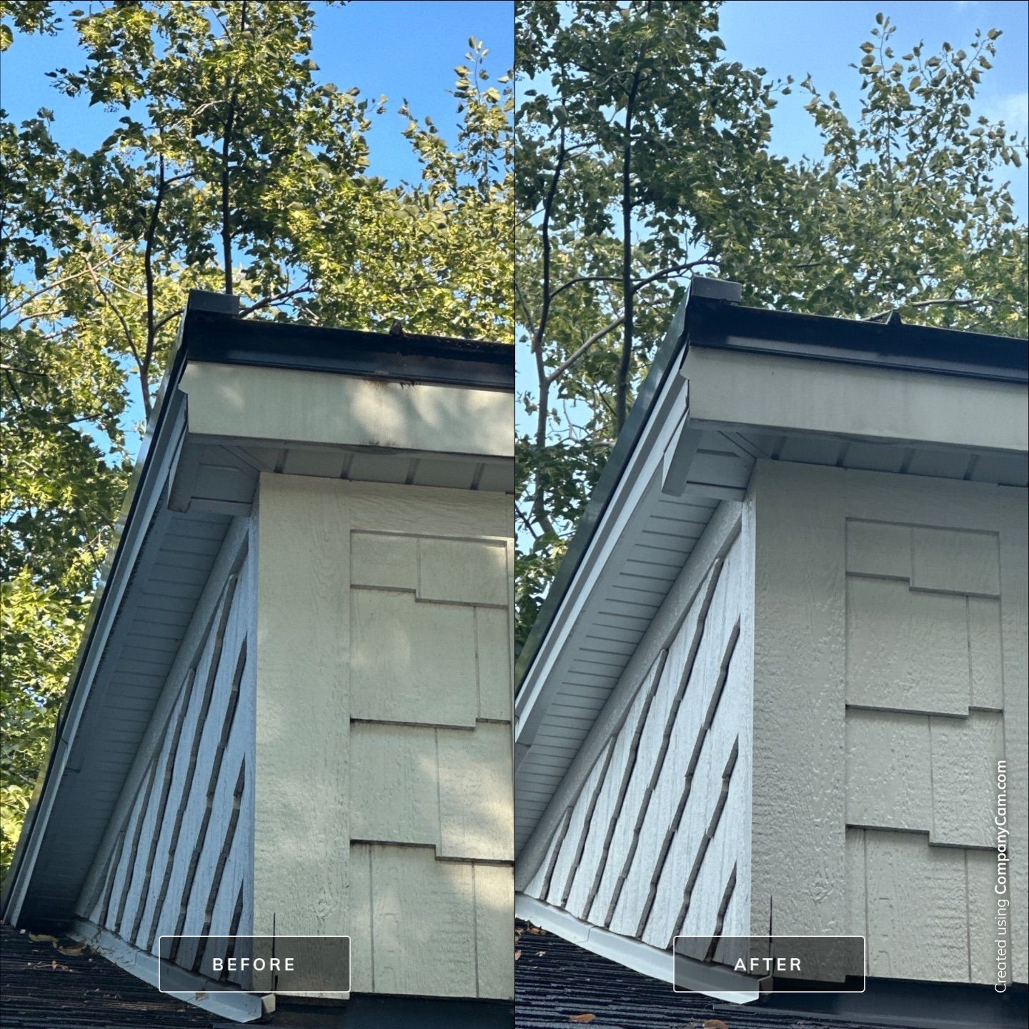 Project in Palatine by Simmons Power & Soft Washing