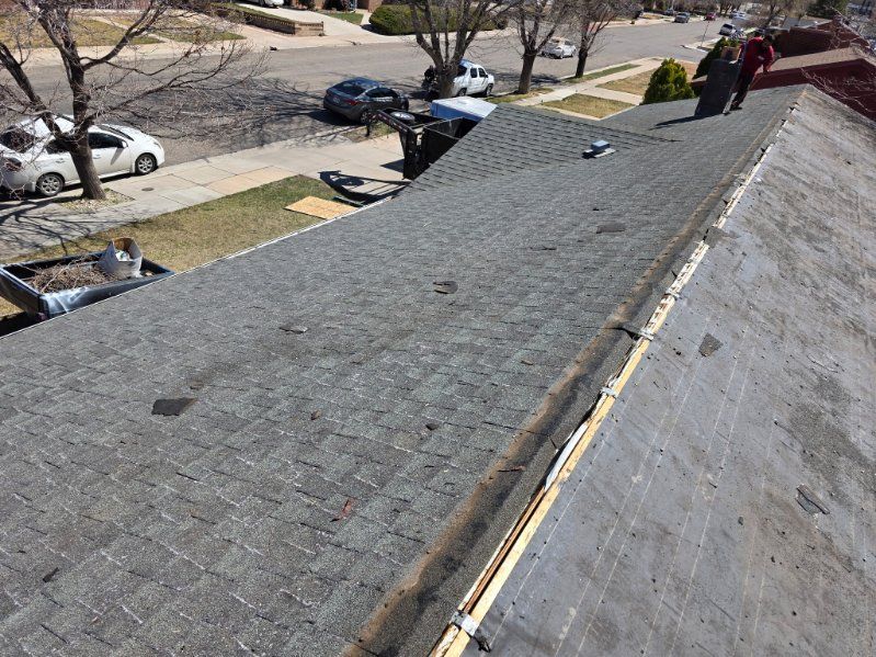 Corrina Bow by Unified Roofing