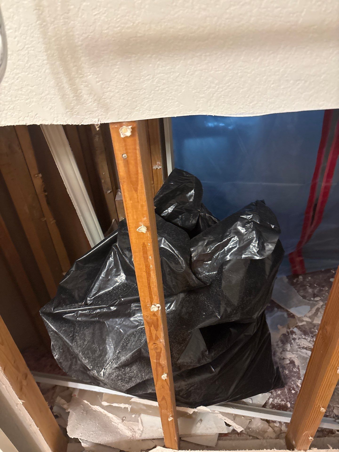 Water Damage Mitigation by All Dry Services of North Austin
