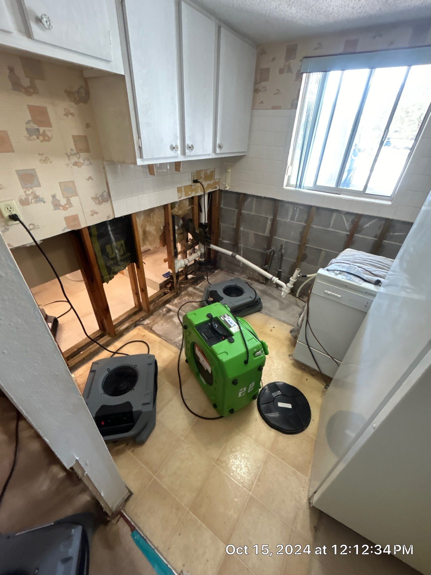 Mold Inspection by Ampm Restoration Services