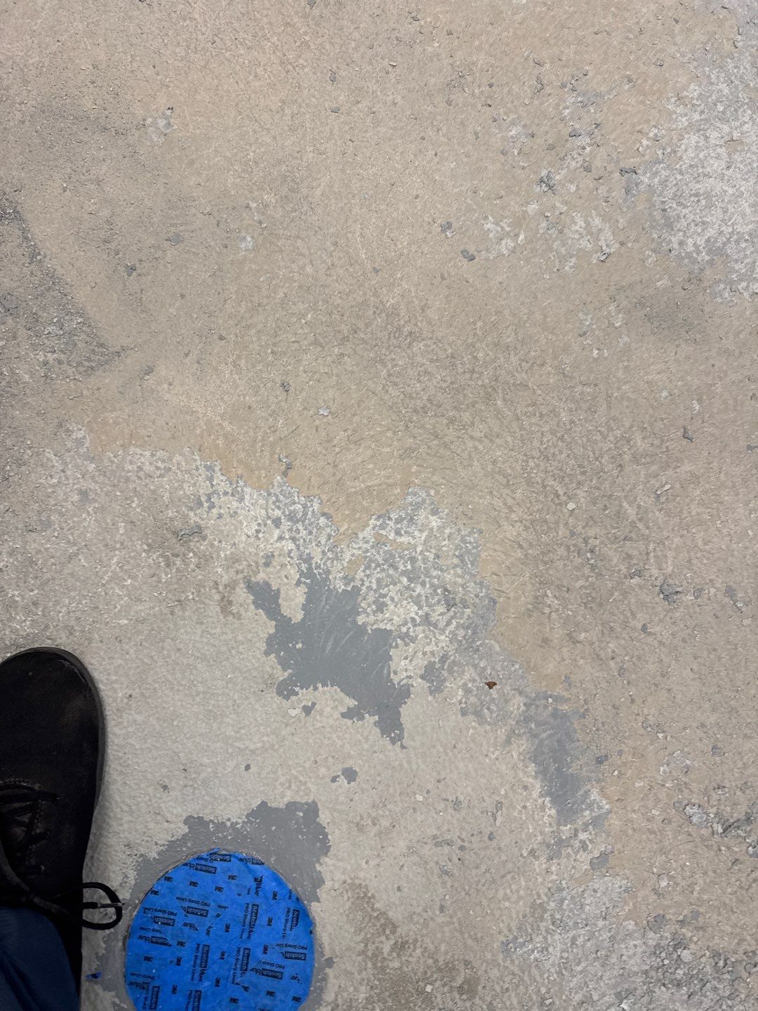 Muni Pool House Project in Crafton  by Floors in a Day, Inc