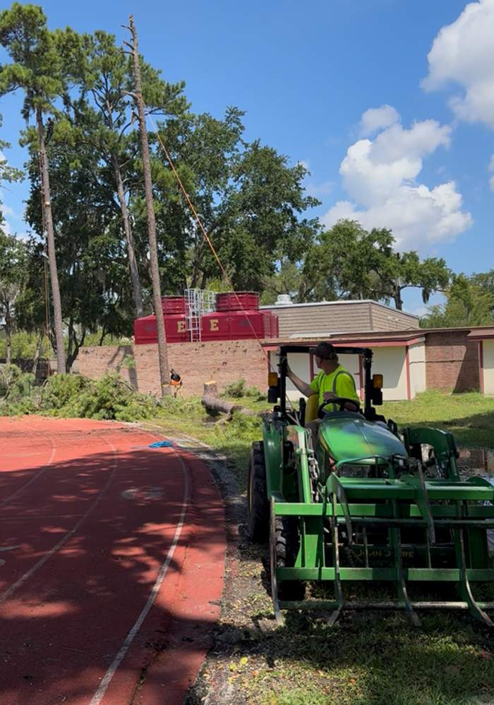 Tree Removal | Episcopal School of Jacksonville by ProGreen Services