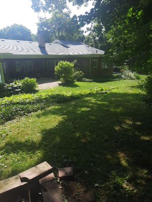 Tree Removal using Tree Removal