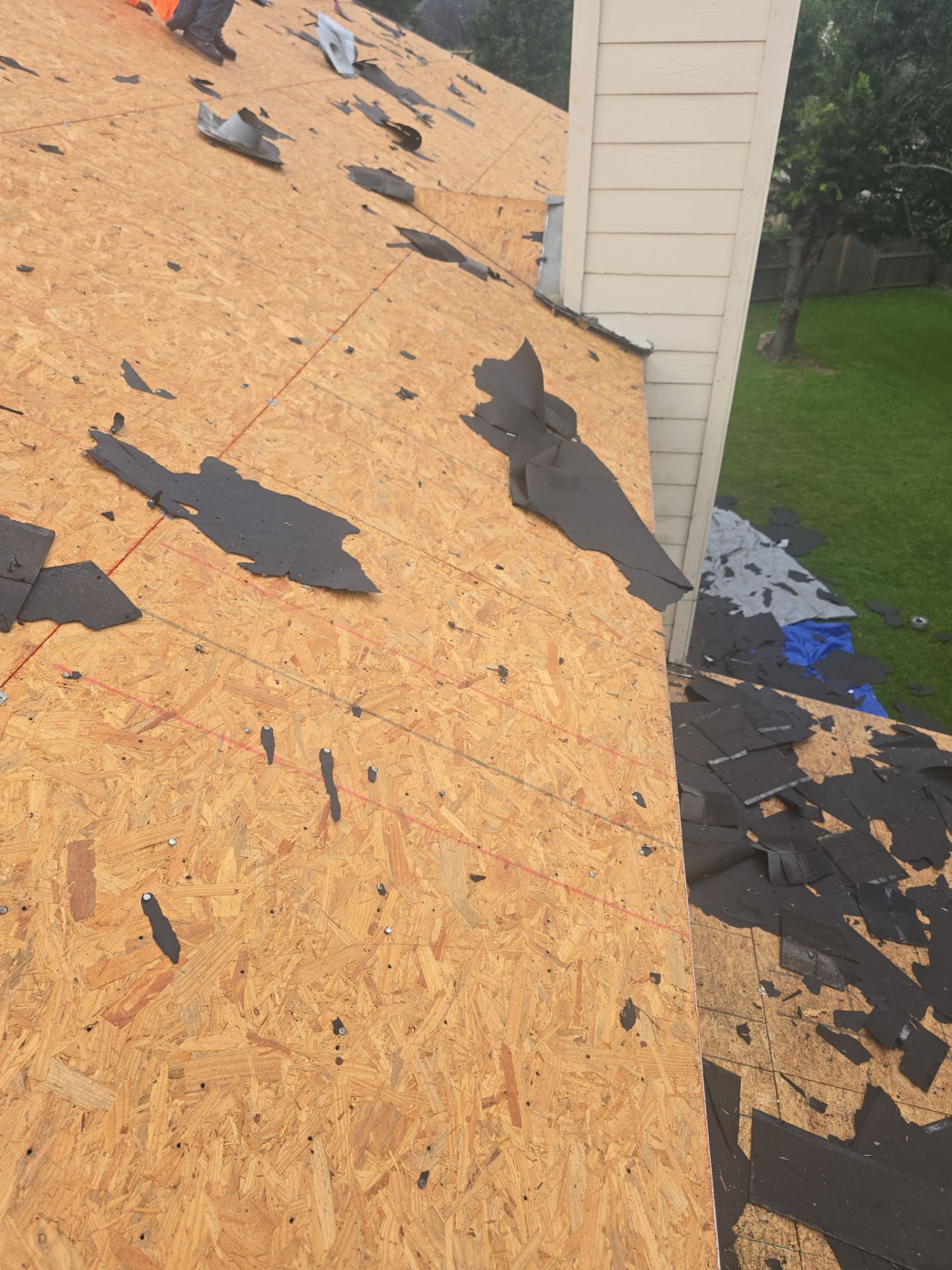 Roof Replacement Spring by Roof Repair Services LLC